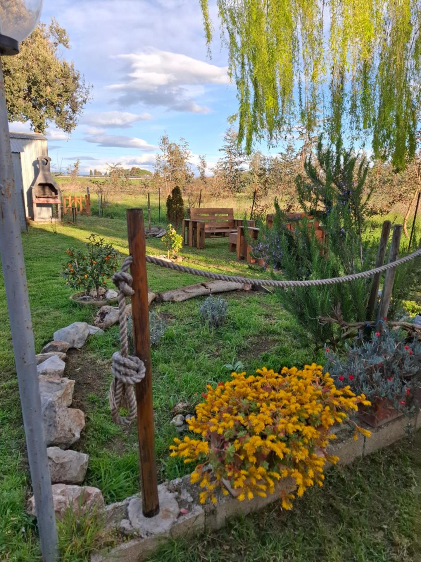 Appartamento Rosa Bianca A Vada