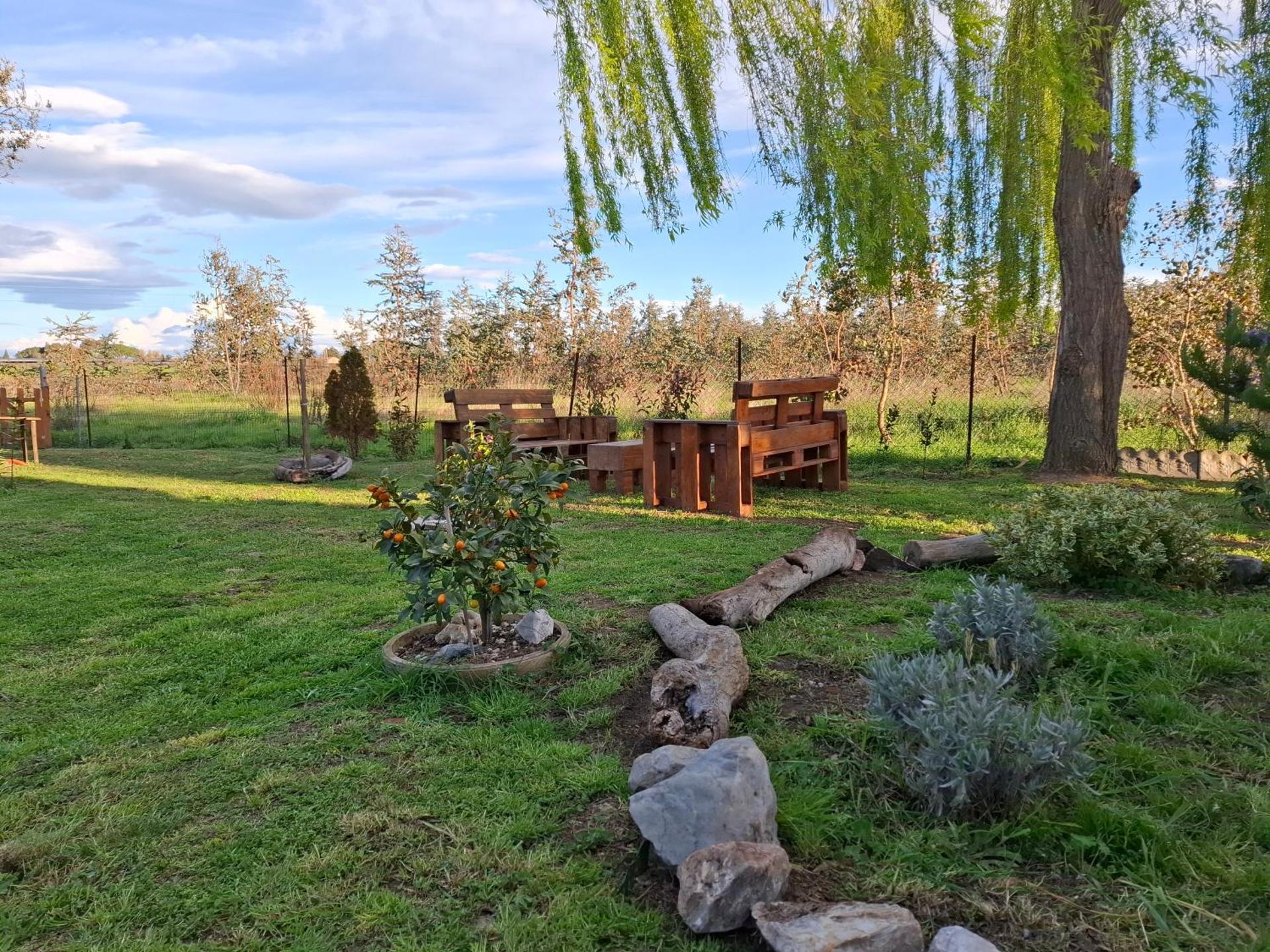 Appartamento Rosa Bianca A Vada