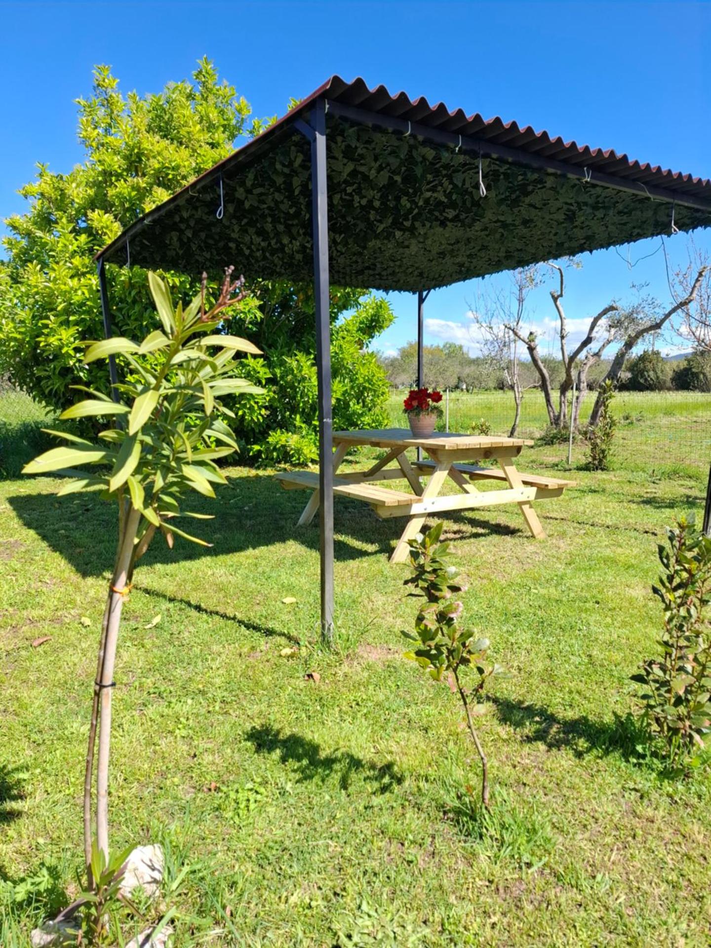 Appartamento Rosa Bianca A Vada