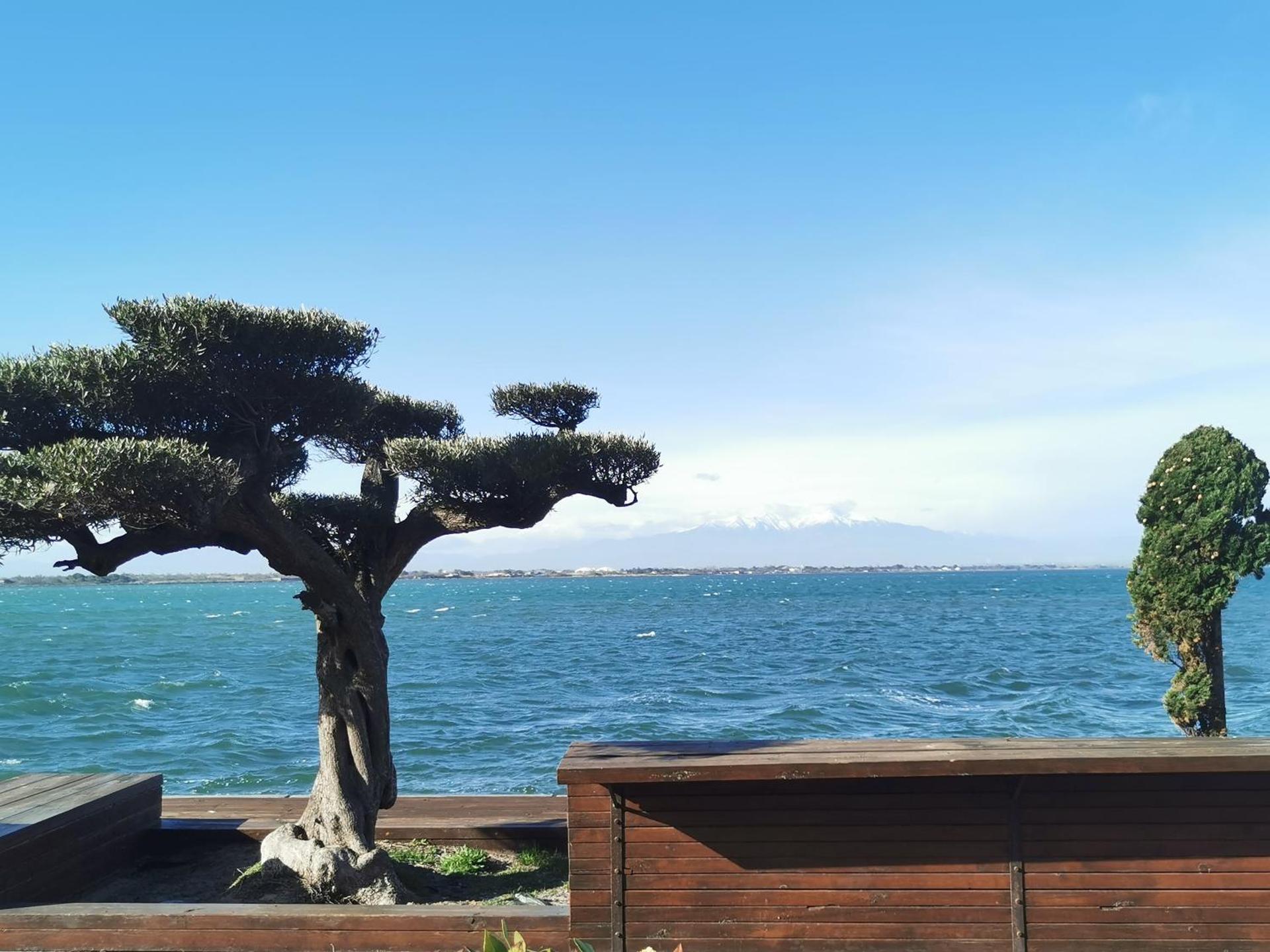 Presqu'île de Cap Coudalere avec une chambre - terrasse-aire de jeux d'enfants - Parking - piscine à partir d'avril - Terrain multisport - Terrain de pétanque