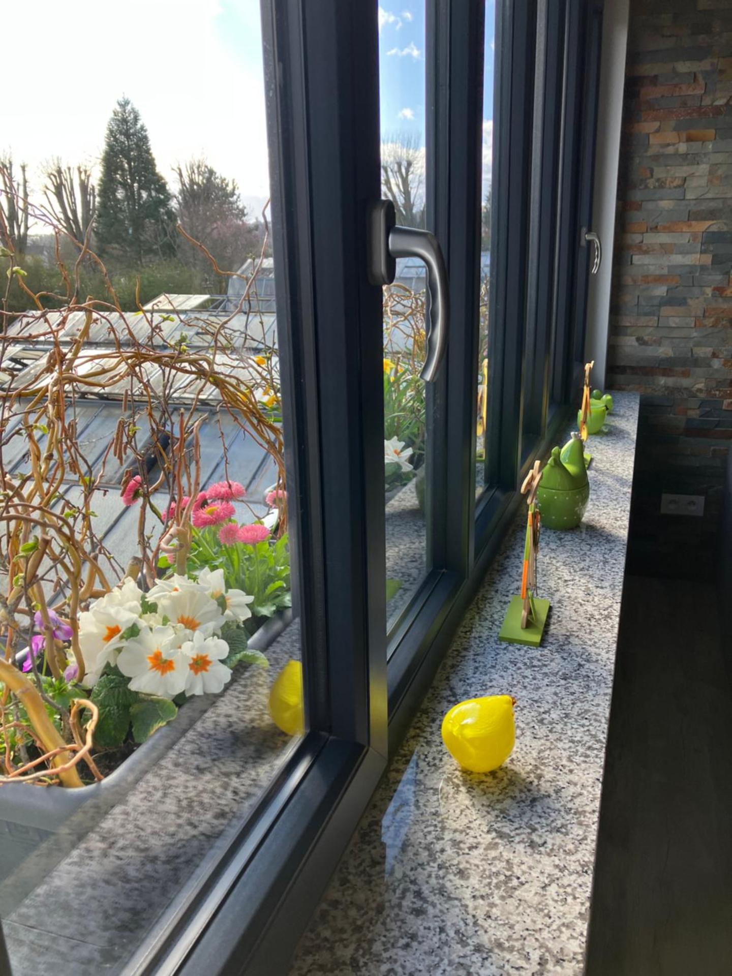 Gite St Nicolas ancien corps de ferme horticole