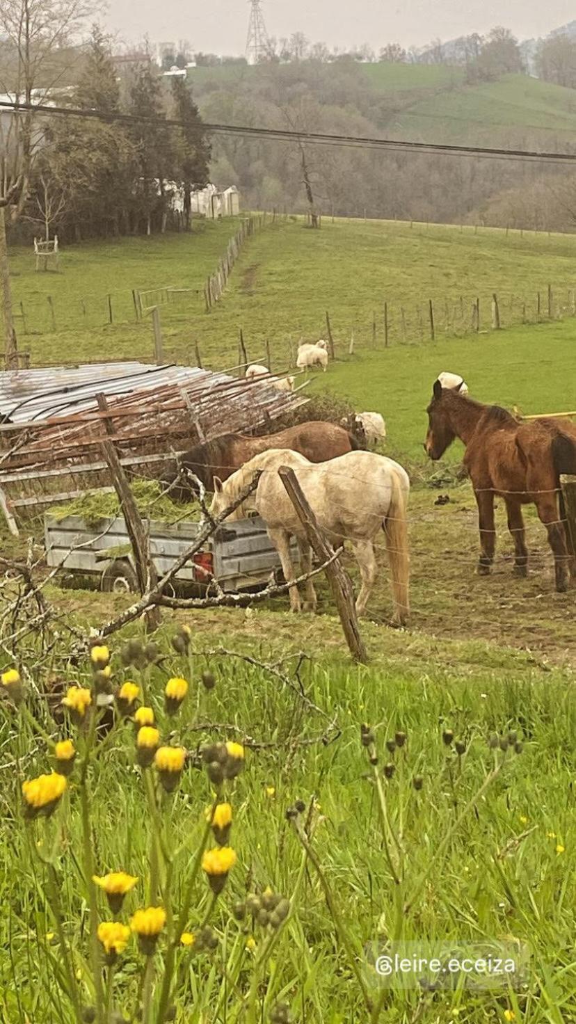 casa rural larre aundi
