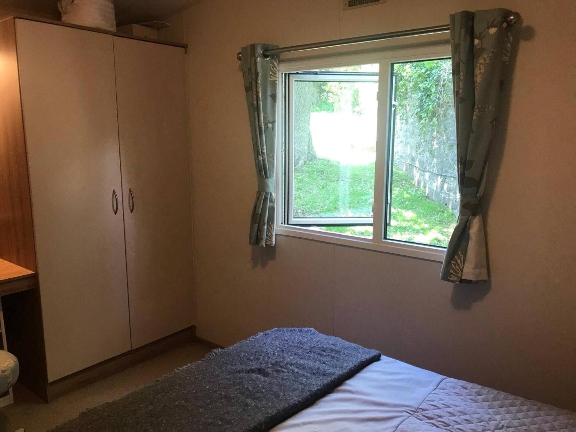 Badgers nestled in a cozy corner of the park