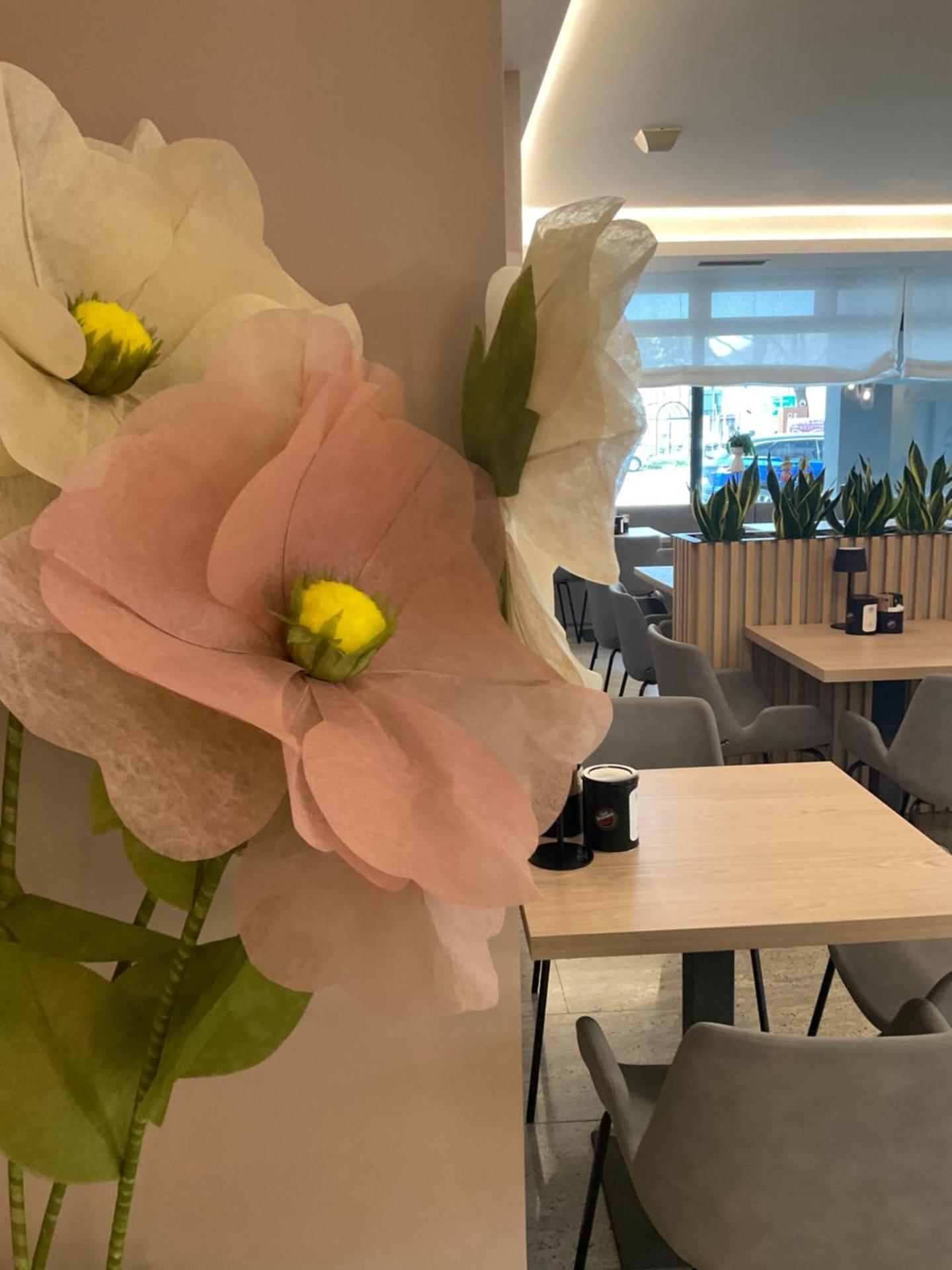 Hotel Centrale Resana Eli caffe