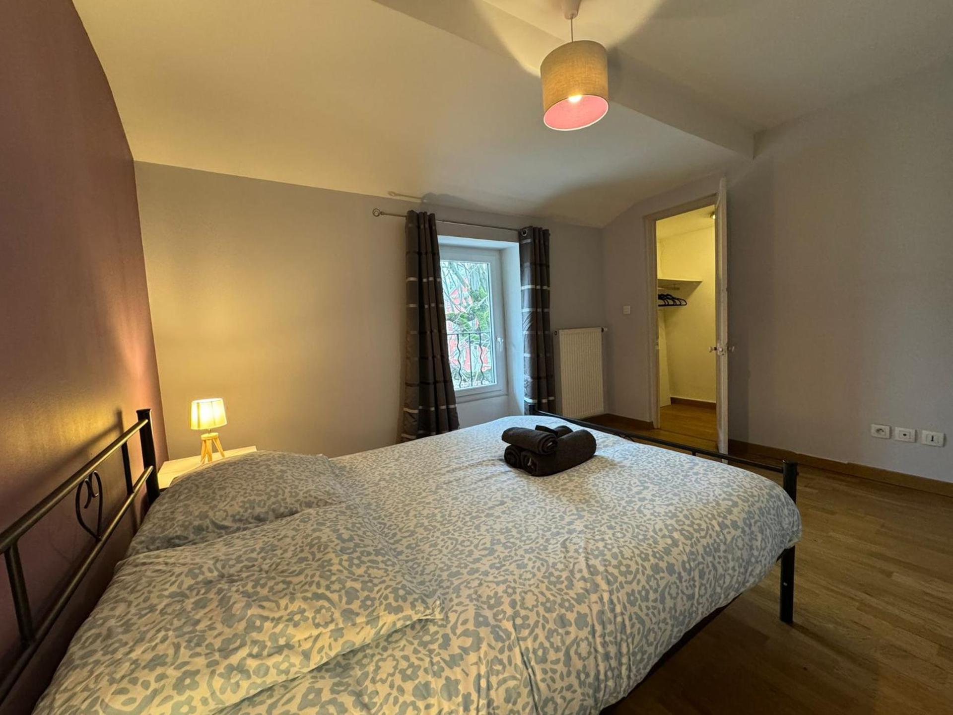 Spacious renovated villa Groupama Stadium LDLC