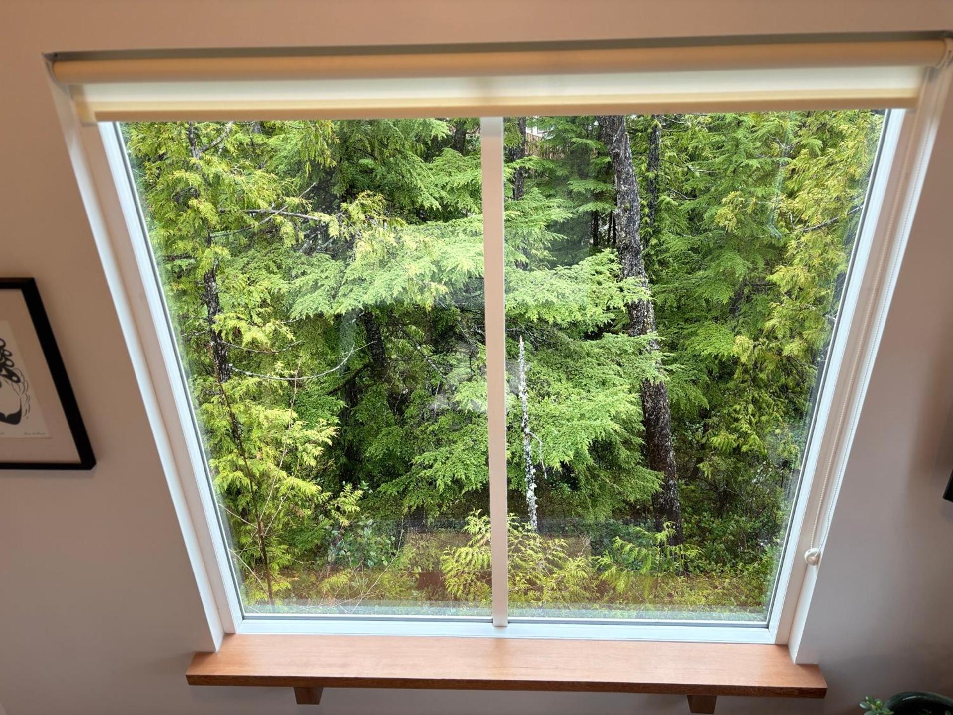 Brown's Beach Guest Suite