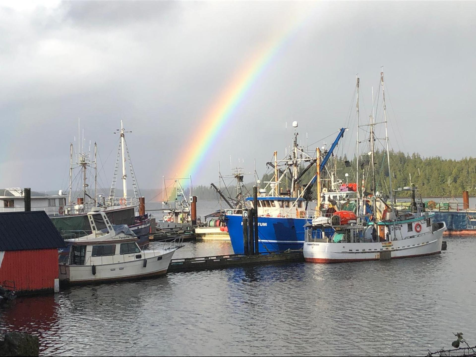 Brown's Beach Guest Suite