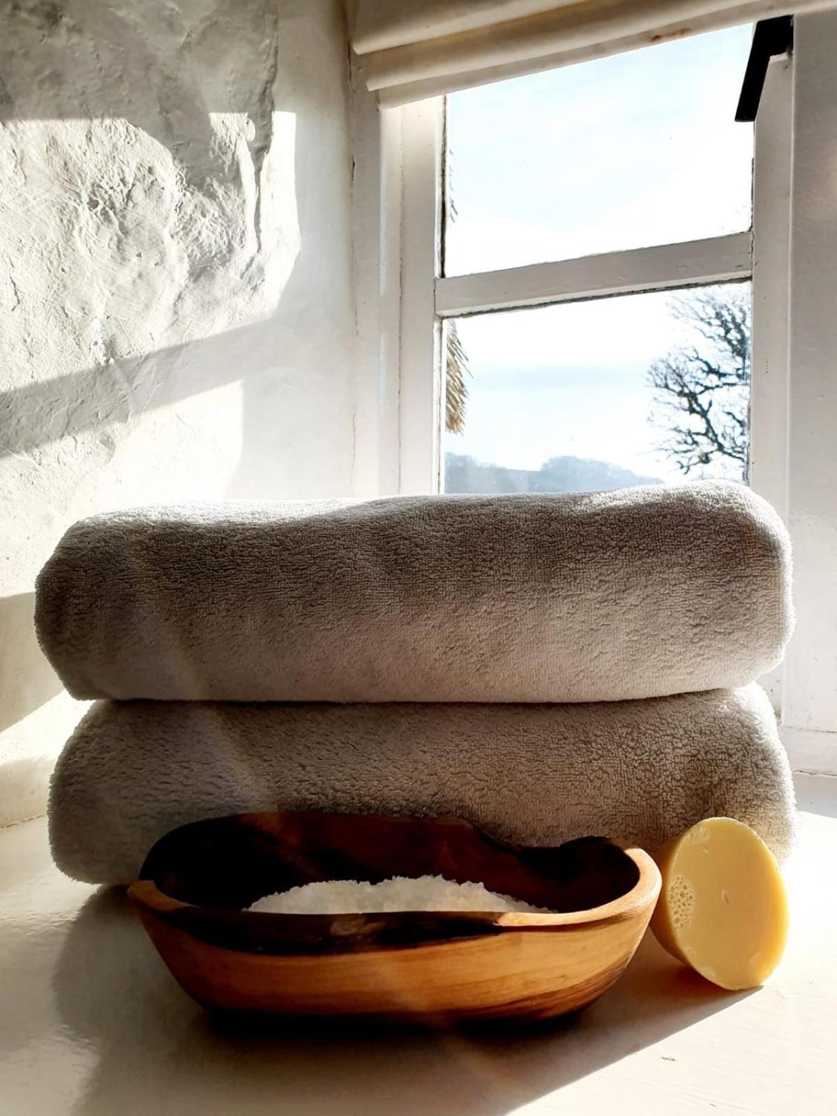 Cosy and unique Thatched Cottage on Dartmoor