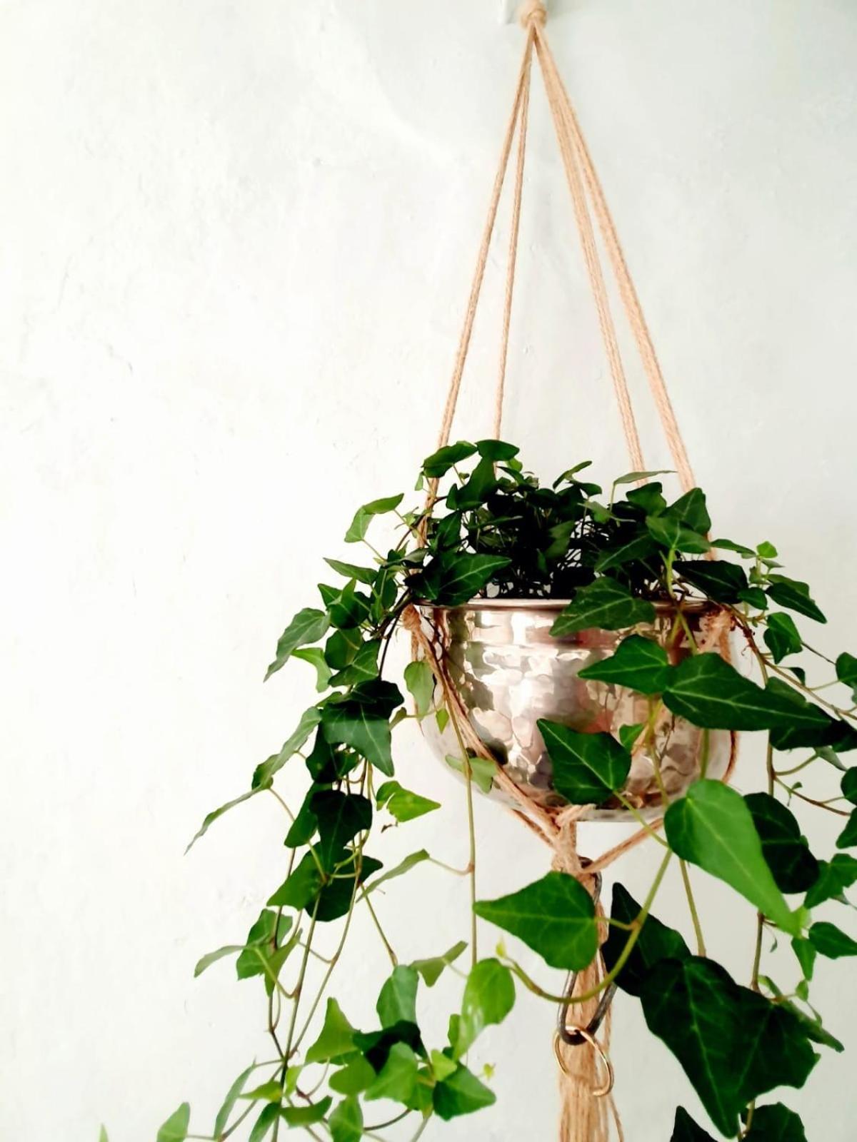 Cosy and unique Thatched Cottage on Dartmoor