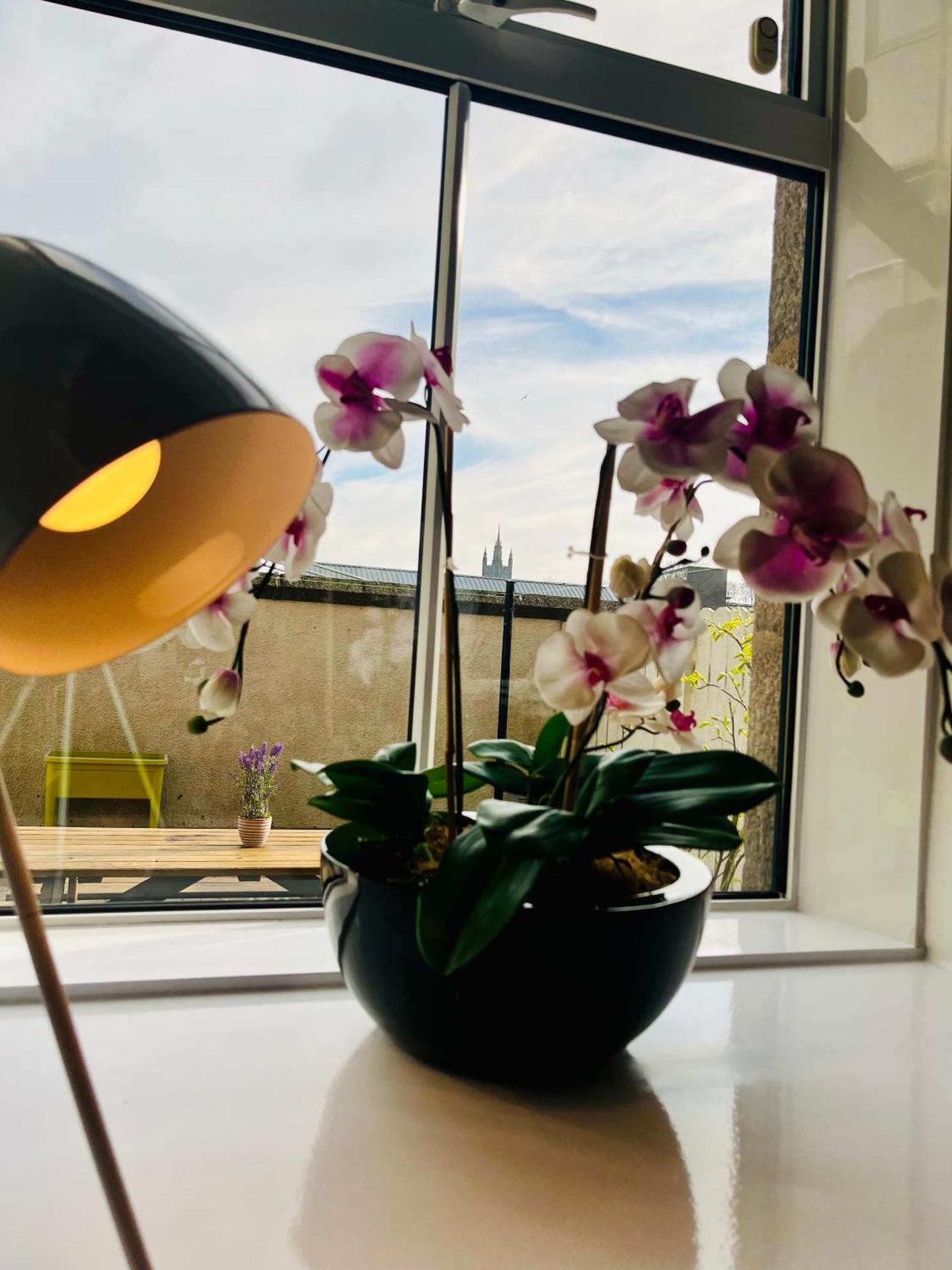 Central, Modern Apartment - Private Terrace - Dog Friendly