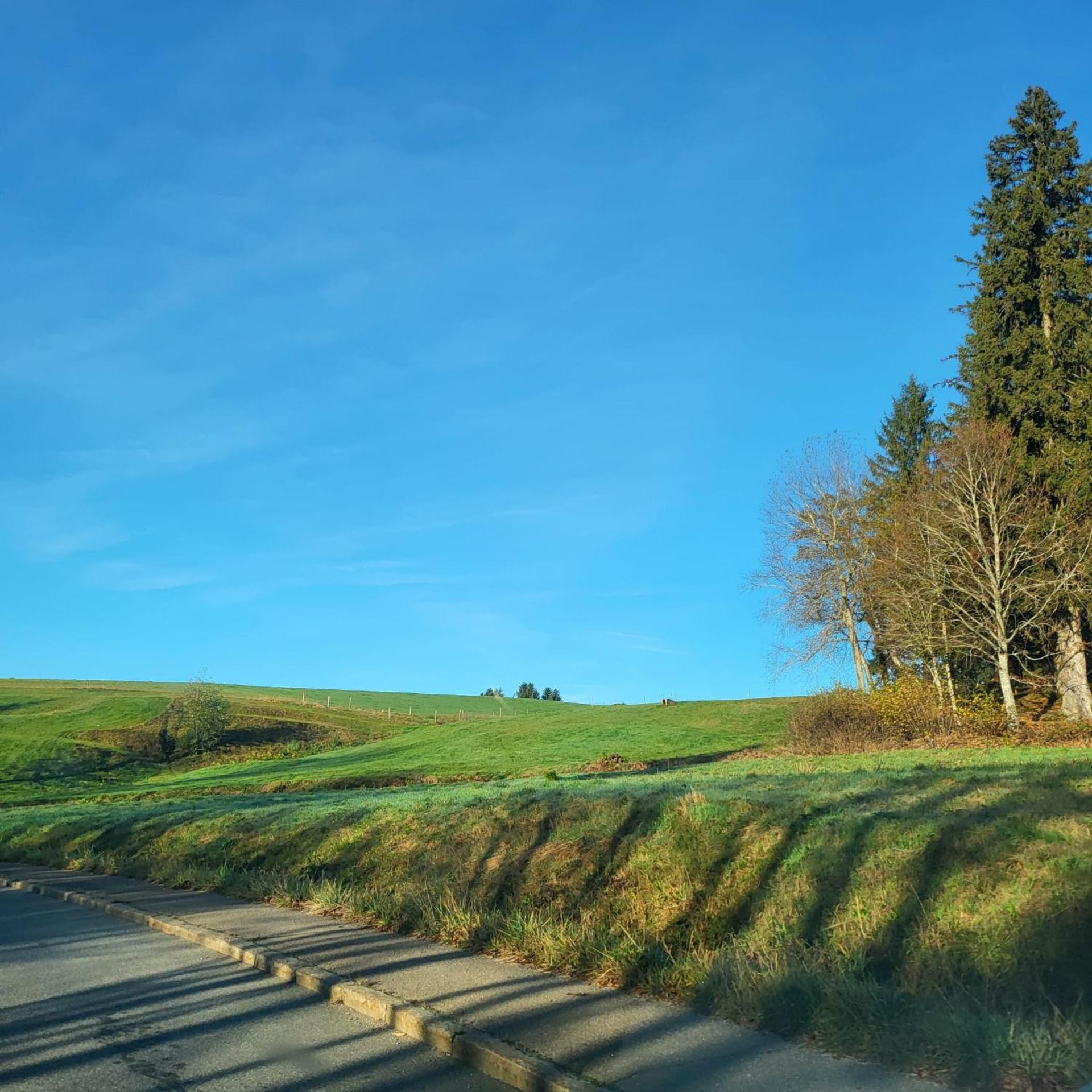 Schonach mountain-Top, forest, free parking, new kitchen, high-speed internet