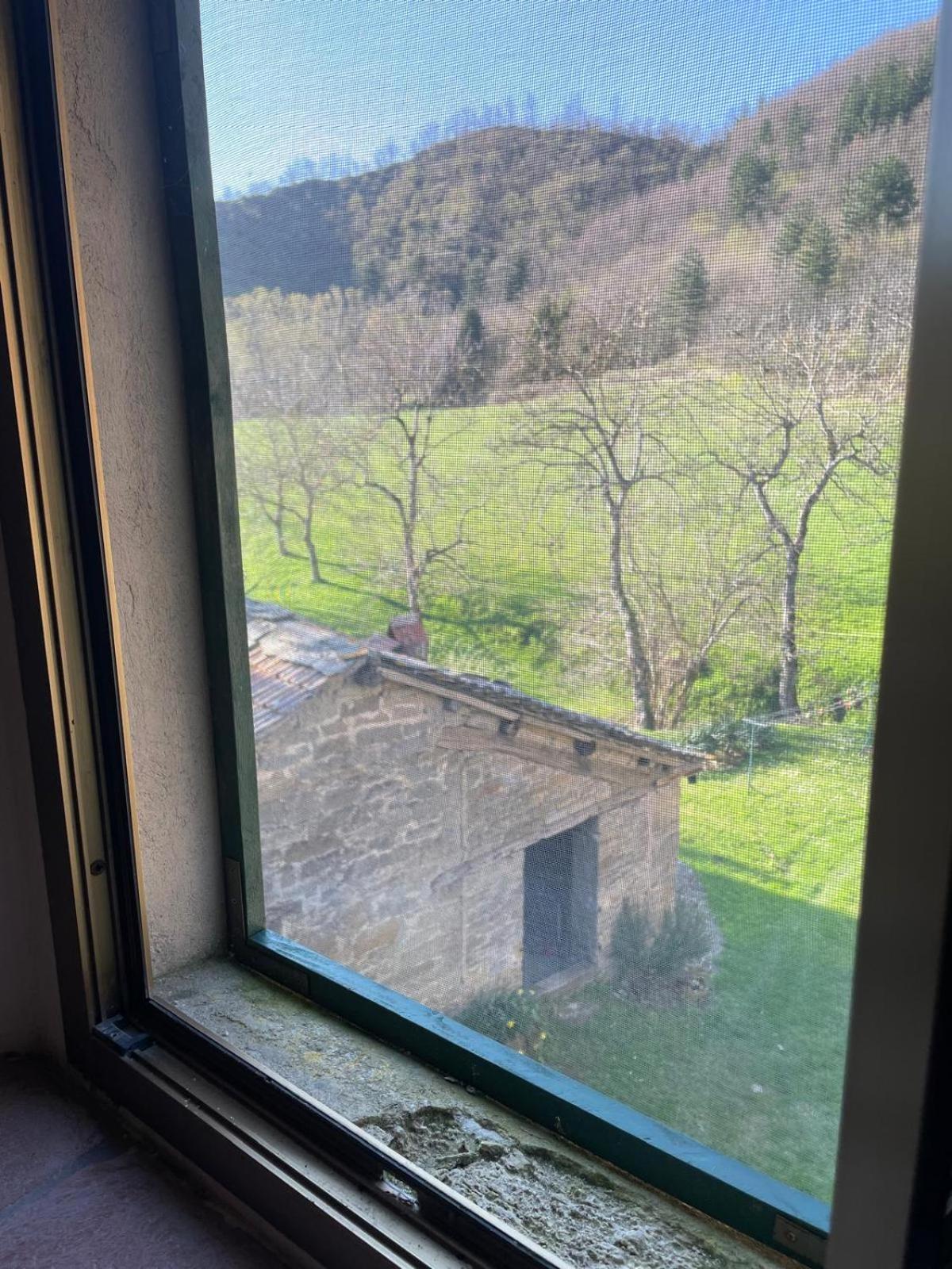 SO MAGIC - La casa nel bosco