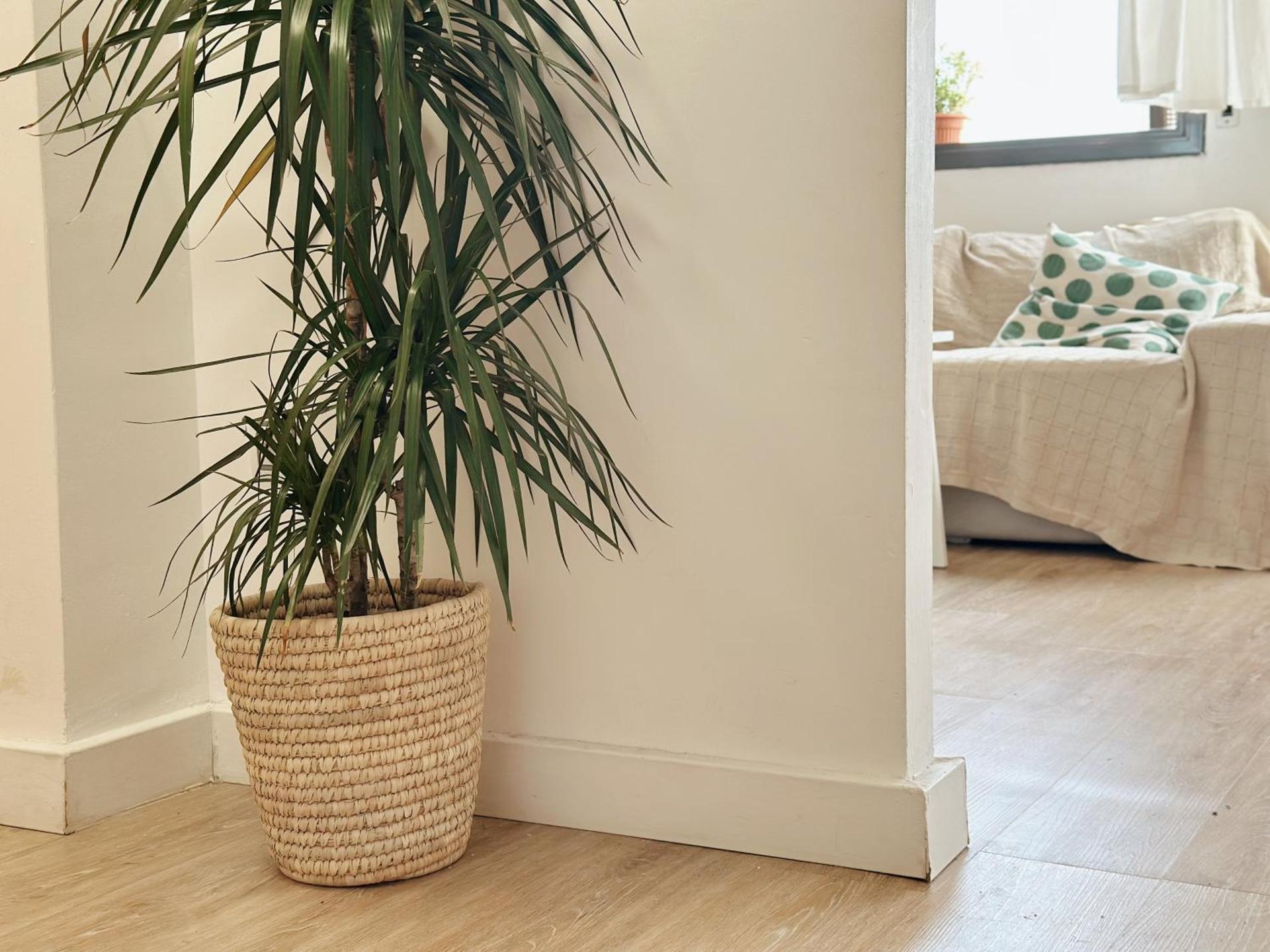 Ático con Vistas al Mar a un Paso del Centro