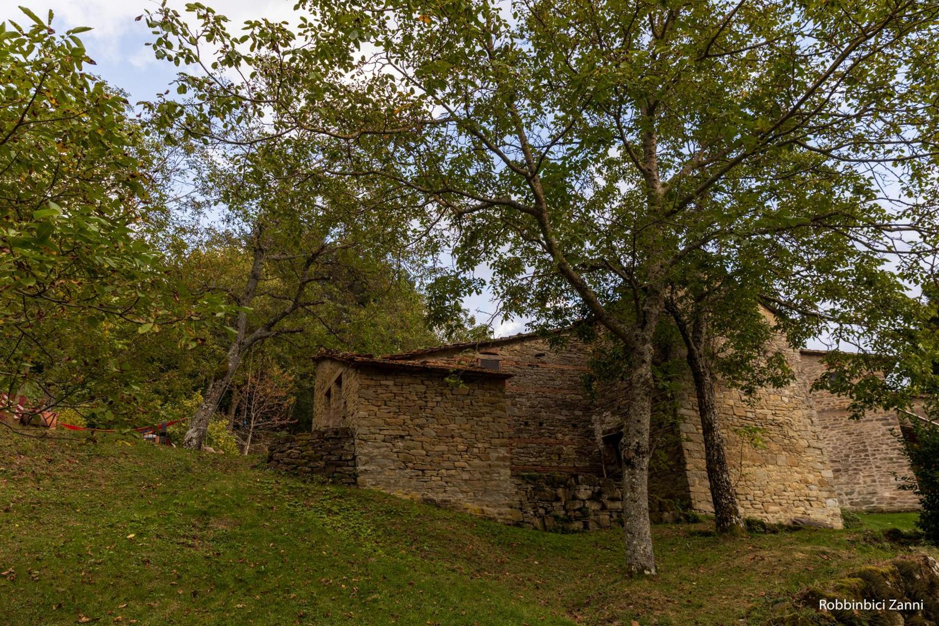 SO MAGIC - La casa nel bosco