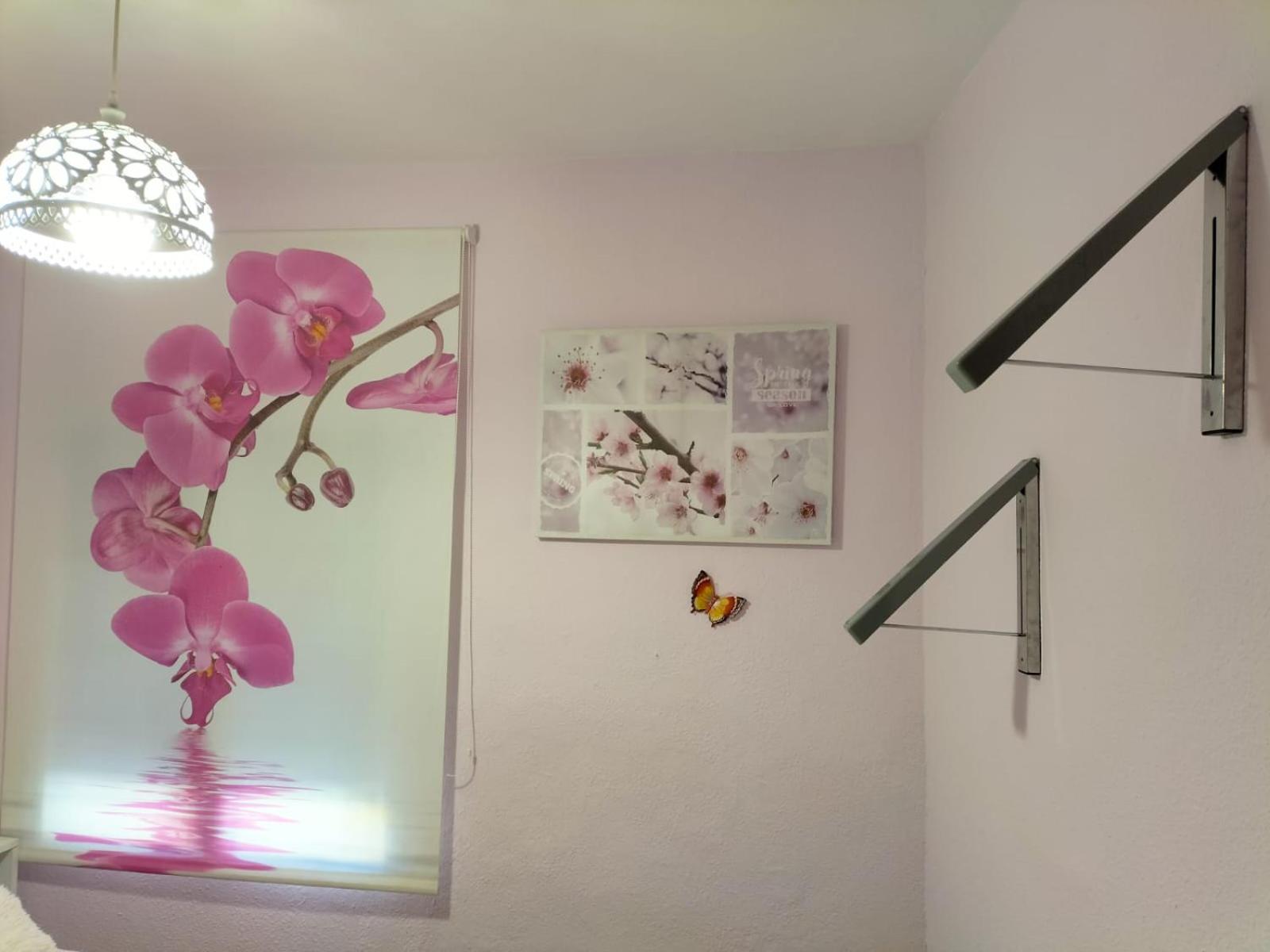 La Casita de Ana. Puerta Valencia. Casco antiguo