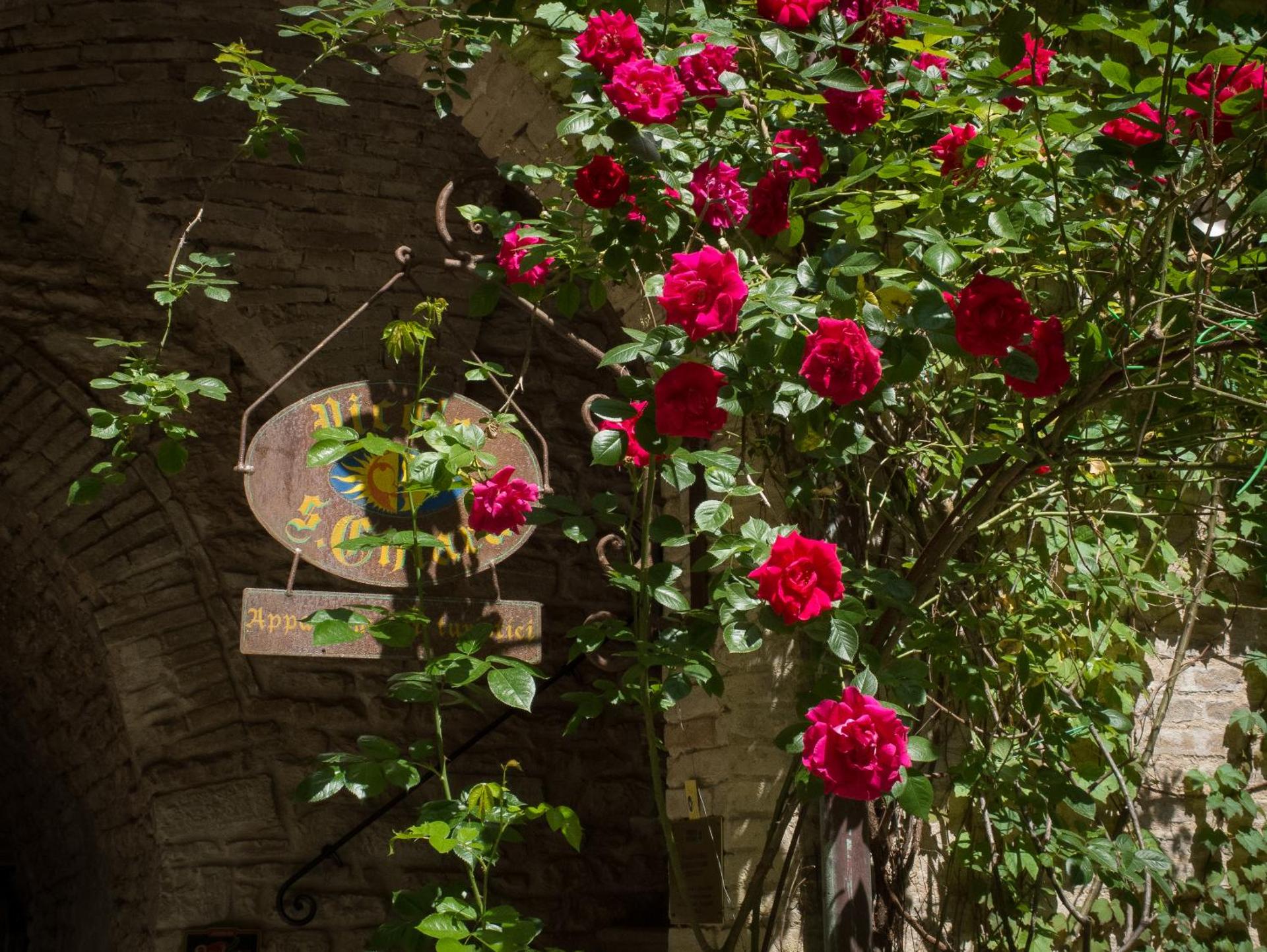 Property logo or sign