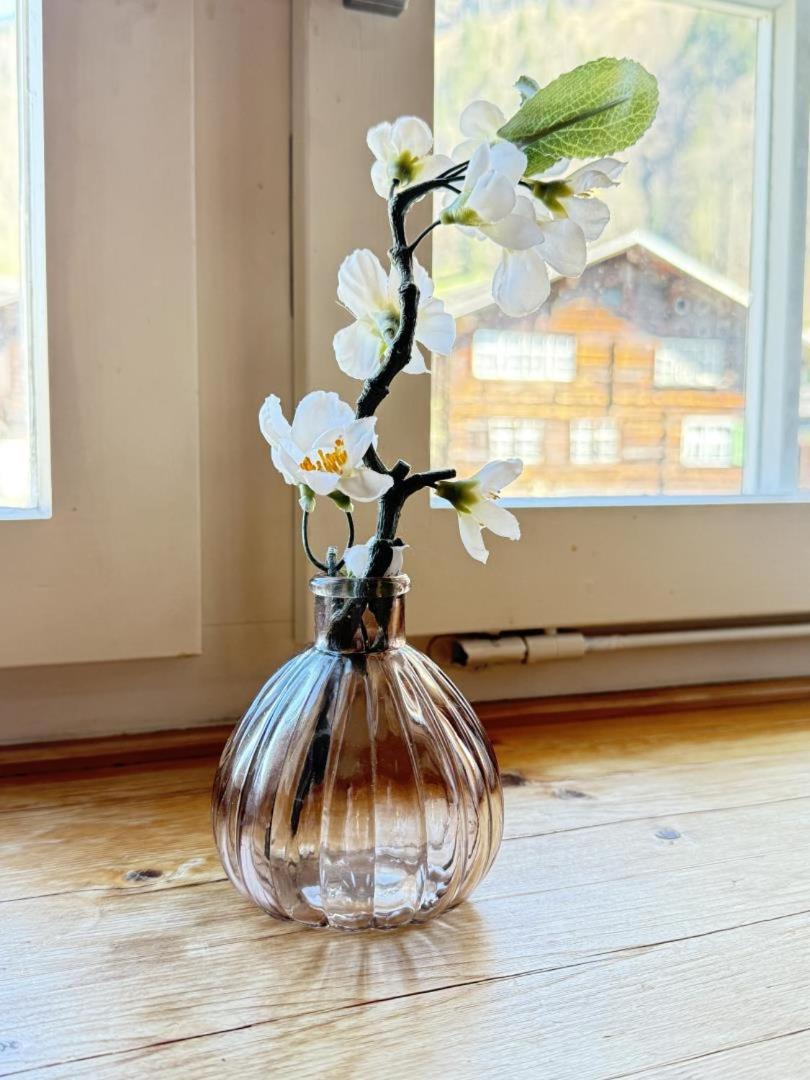 Revier Bliili und Spitzer