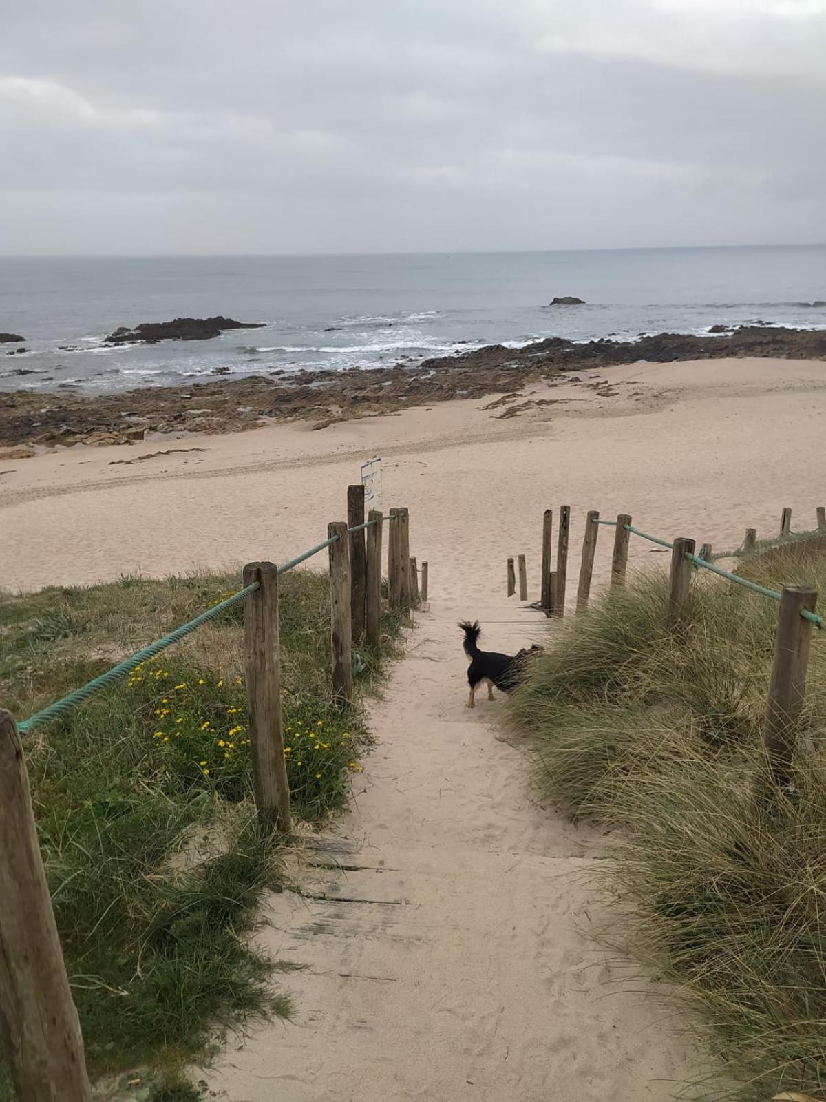 Quartos para Férias - Apúlia