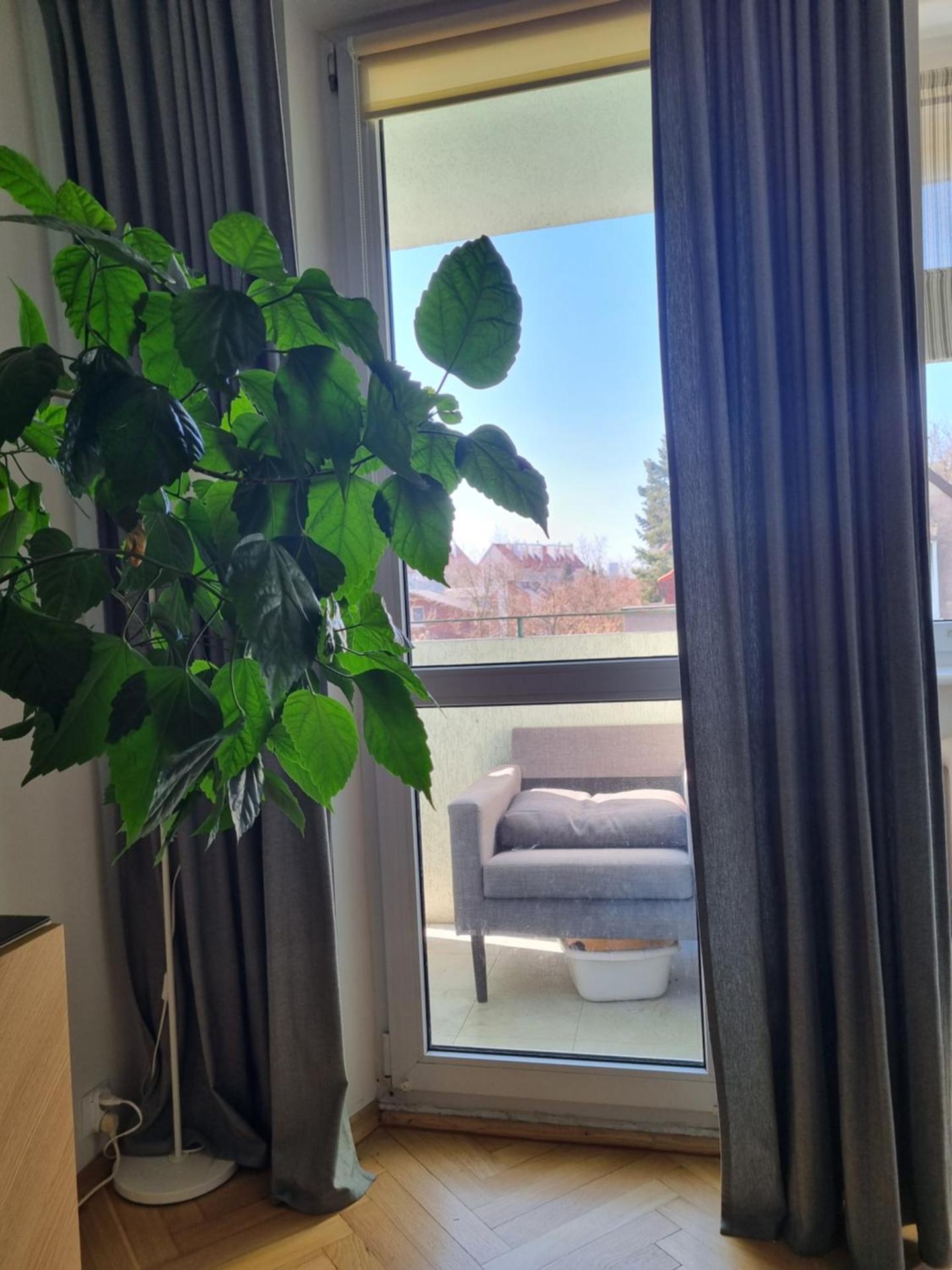 Mieszkanie nad morzem, 300m od plaży!