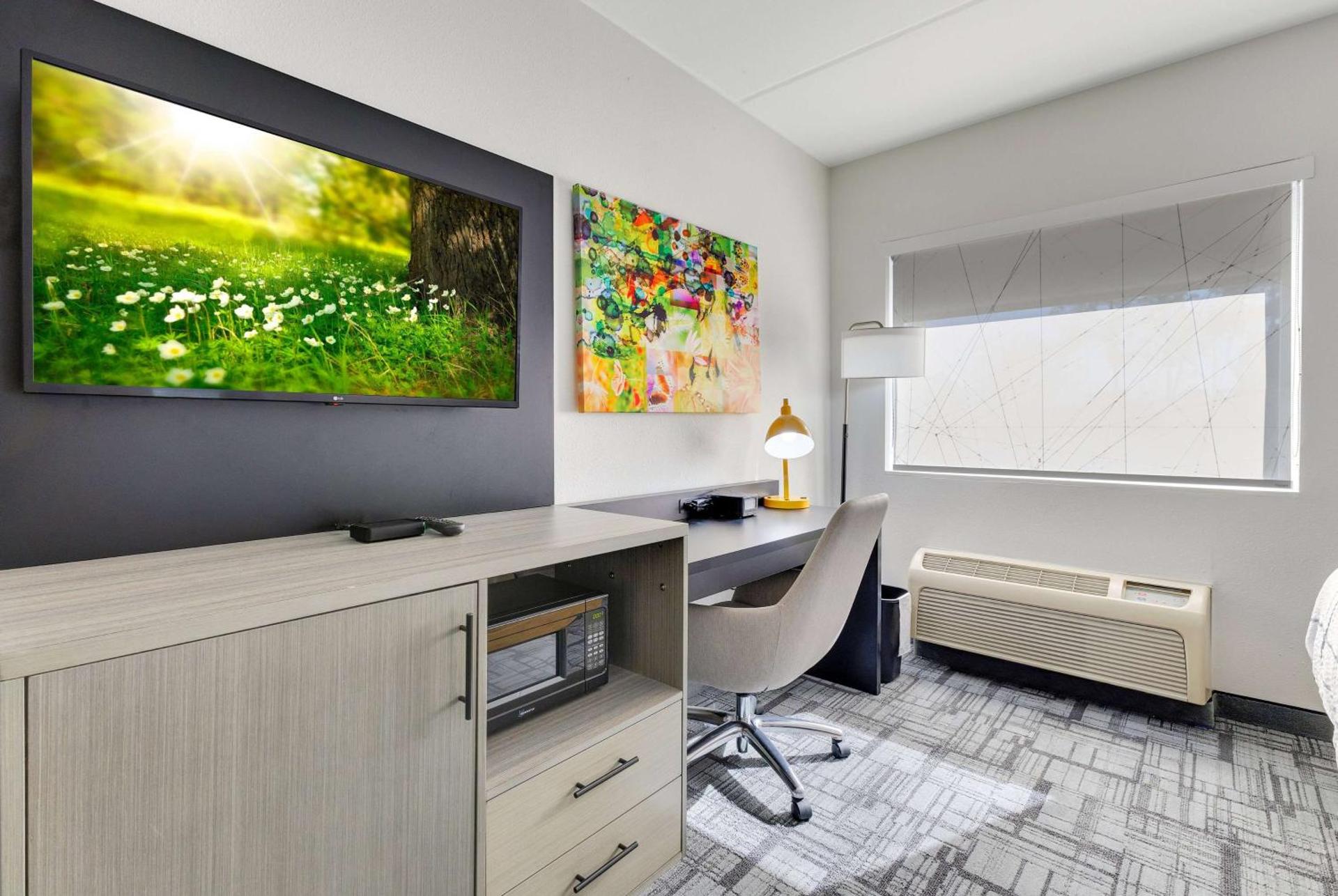 Photo of the whole room