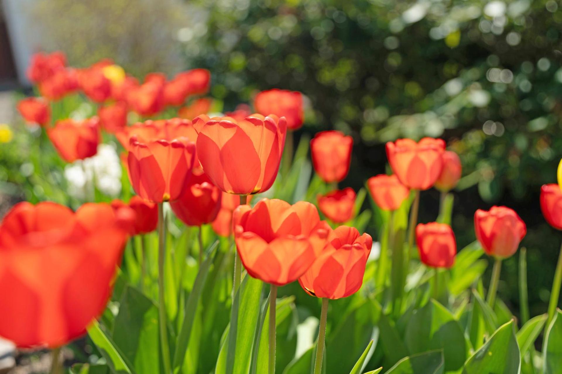 Ferienwohnung Gabriele