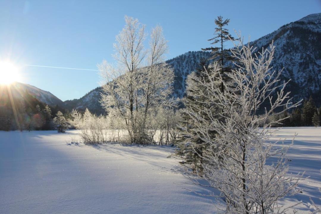 Ferienwohnungen Bergufer