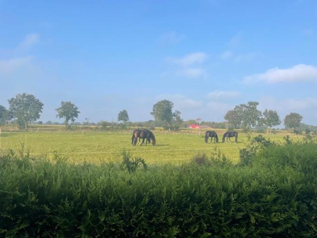 Charmantes Butzen-Nest am Radweg