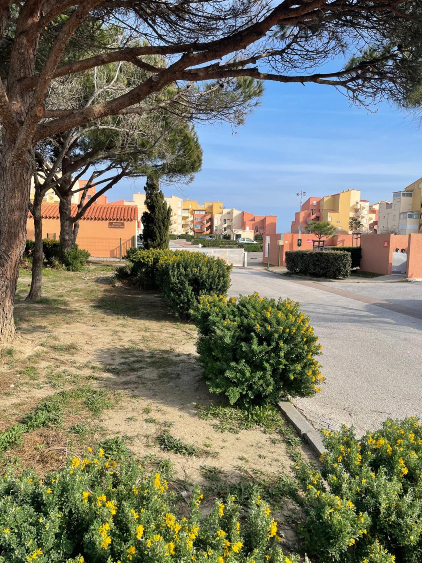 Escapade Marine1 Face à la Mer