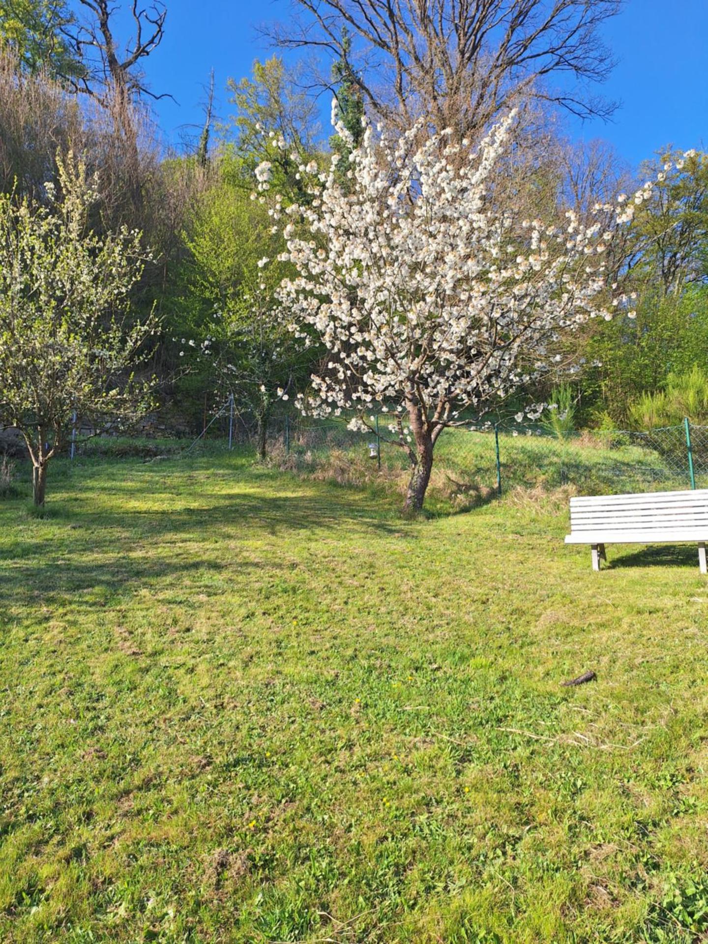 Kleines Domizil am Südhang