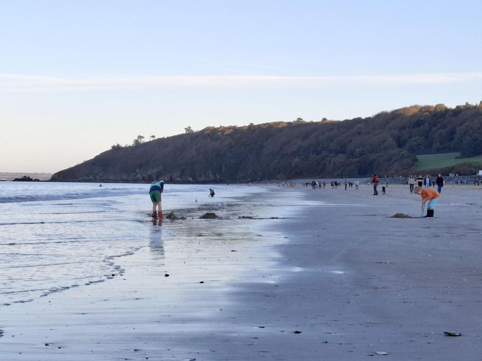 Le Ti'Cocoon Studio en Rez-de-Jardin