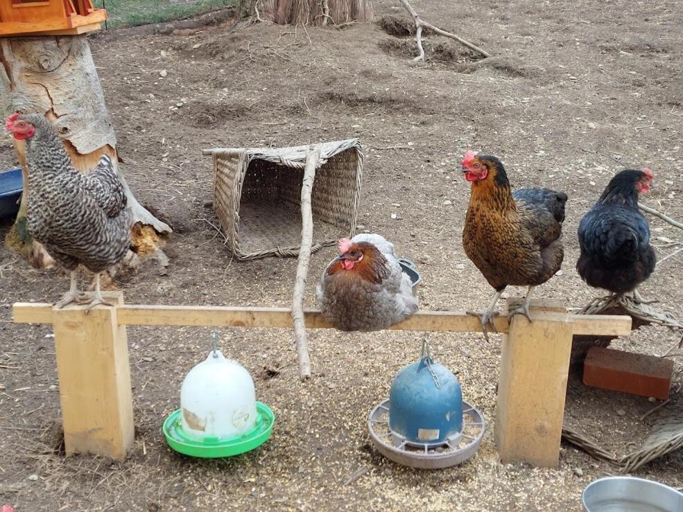 am Balkon des Erzgebirges