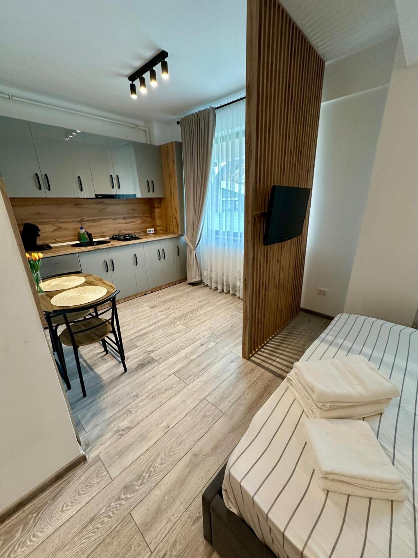 Sofia Residence Studio Cetate