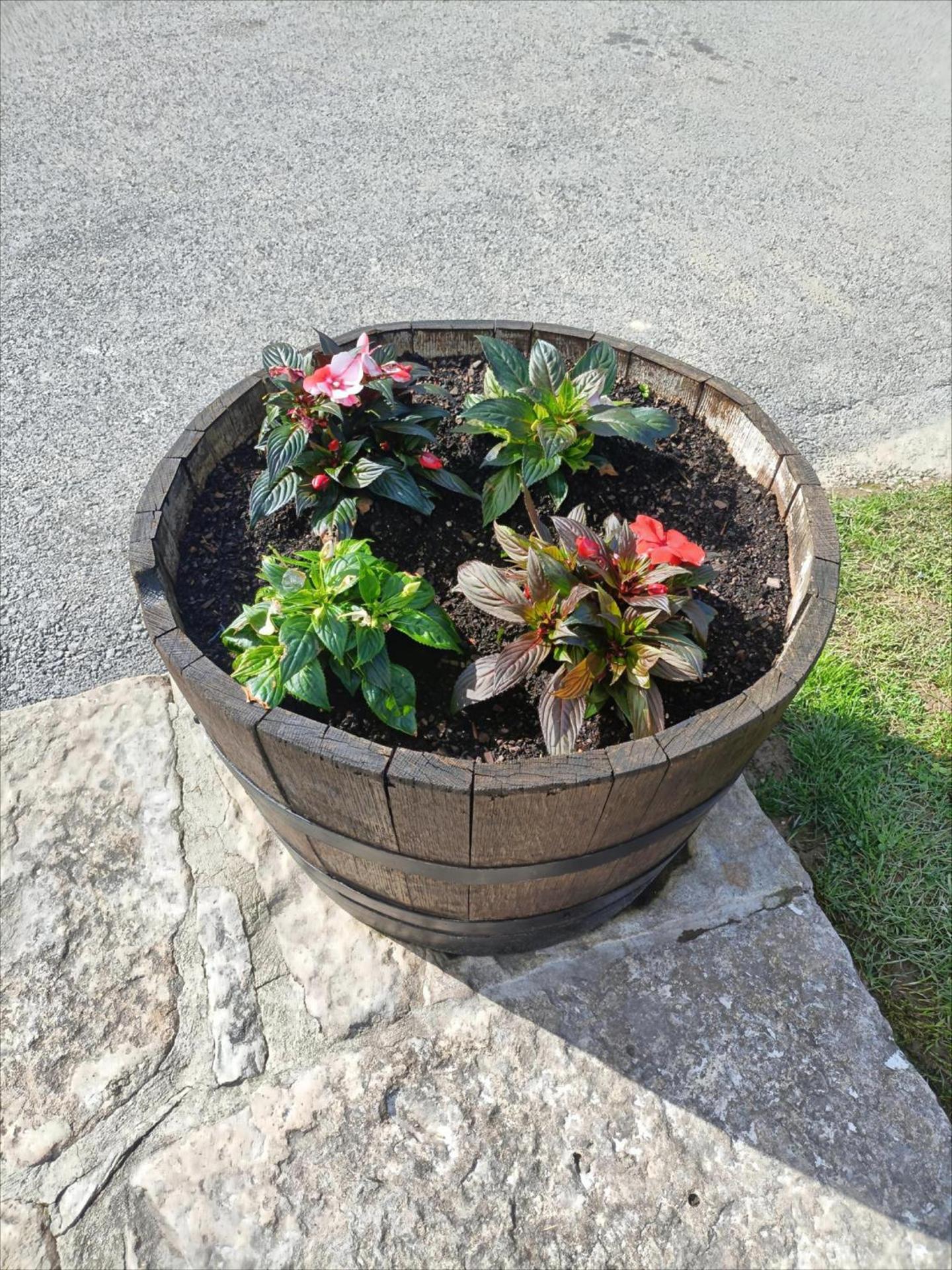 Casa Rural Los Riveros de Jeromo