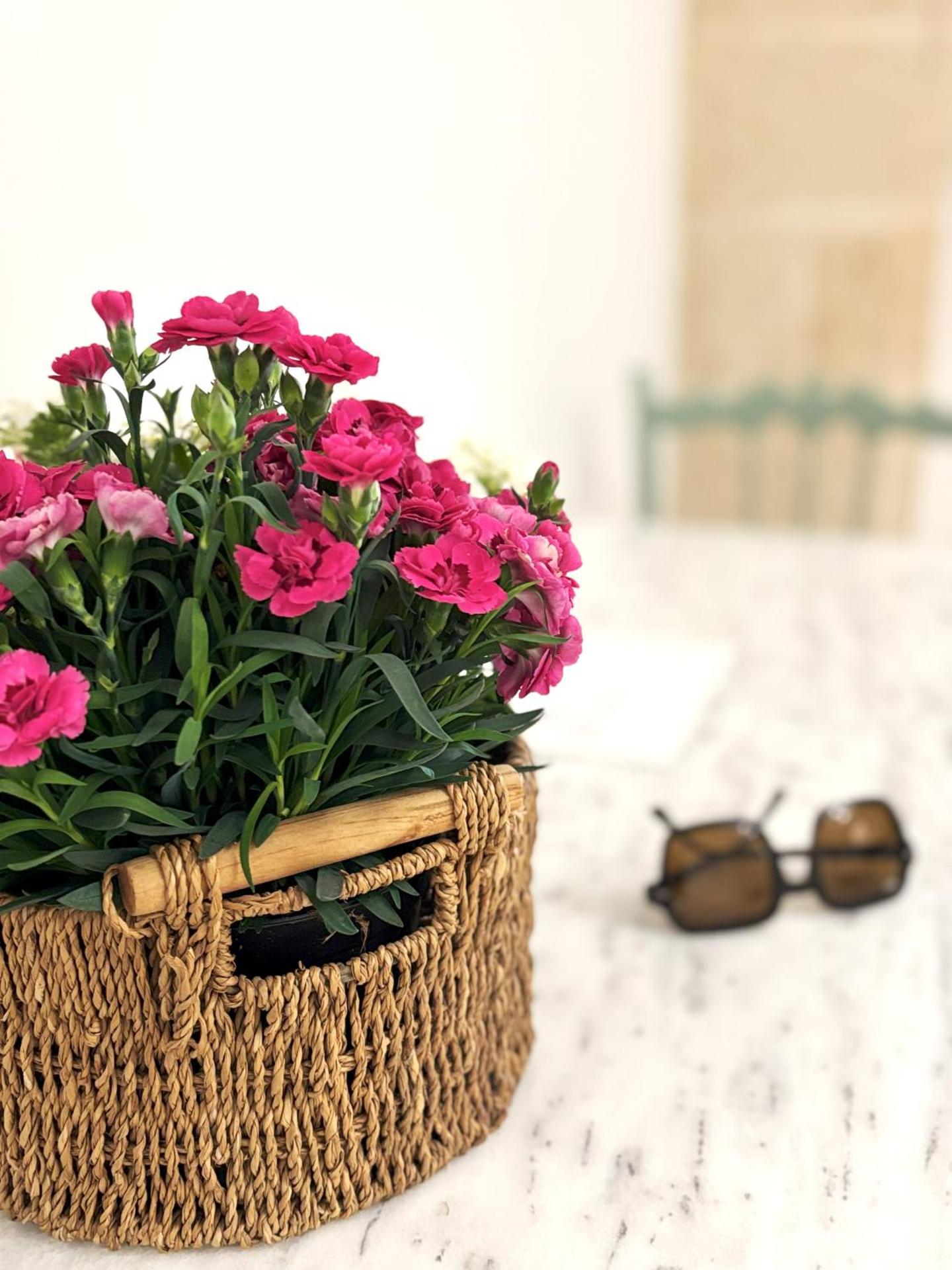 La Vetrana Rooms by Jdvacanze