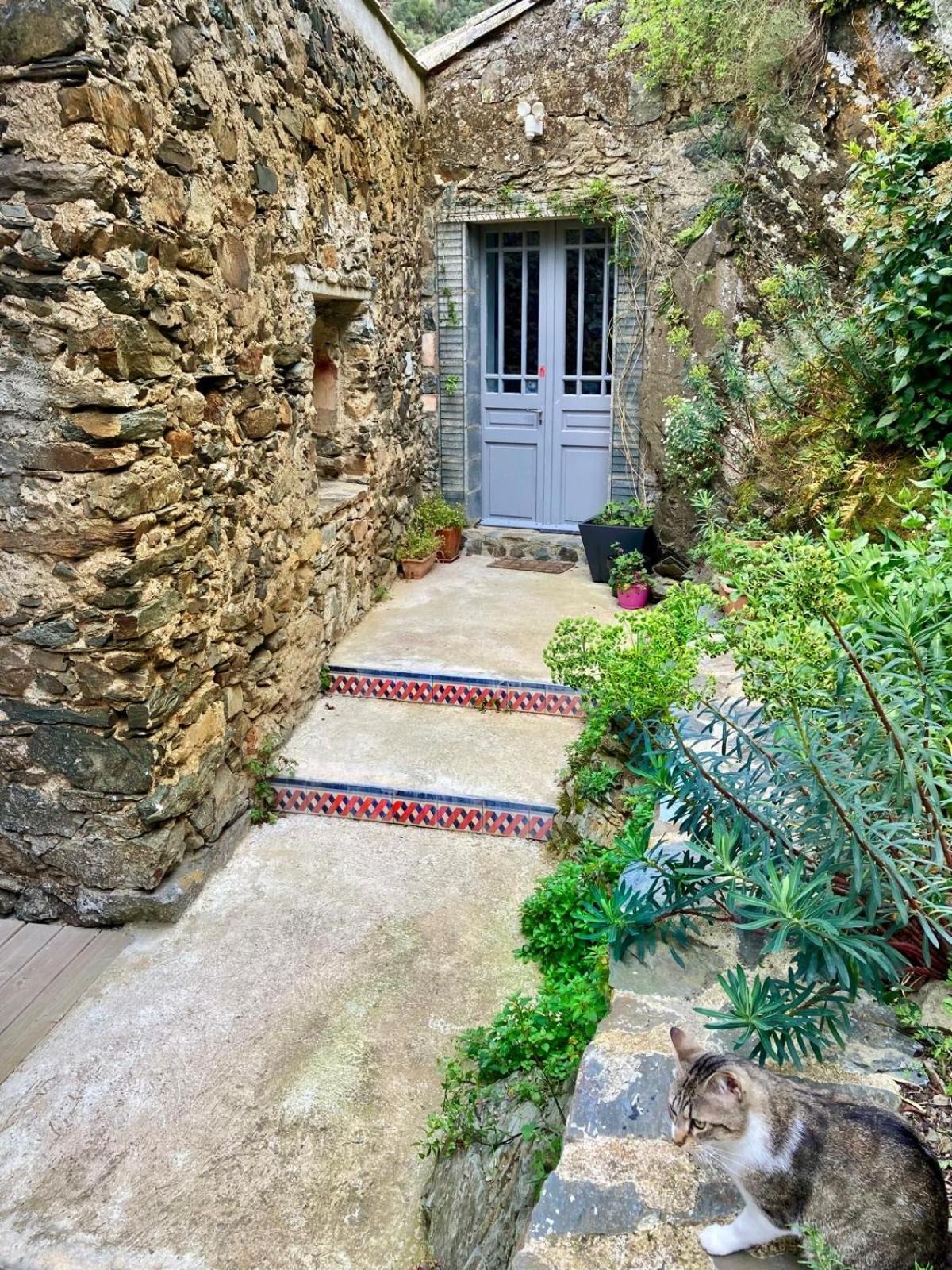 Maison CABARET Luxury 4 Star Air Conditioned 100m to 4 Cathar Châteaux Lastours private Terrasse with views!!