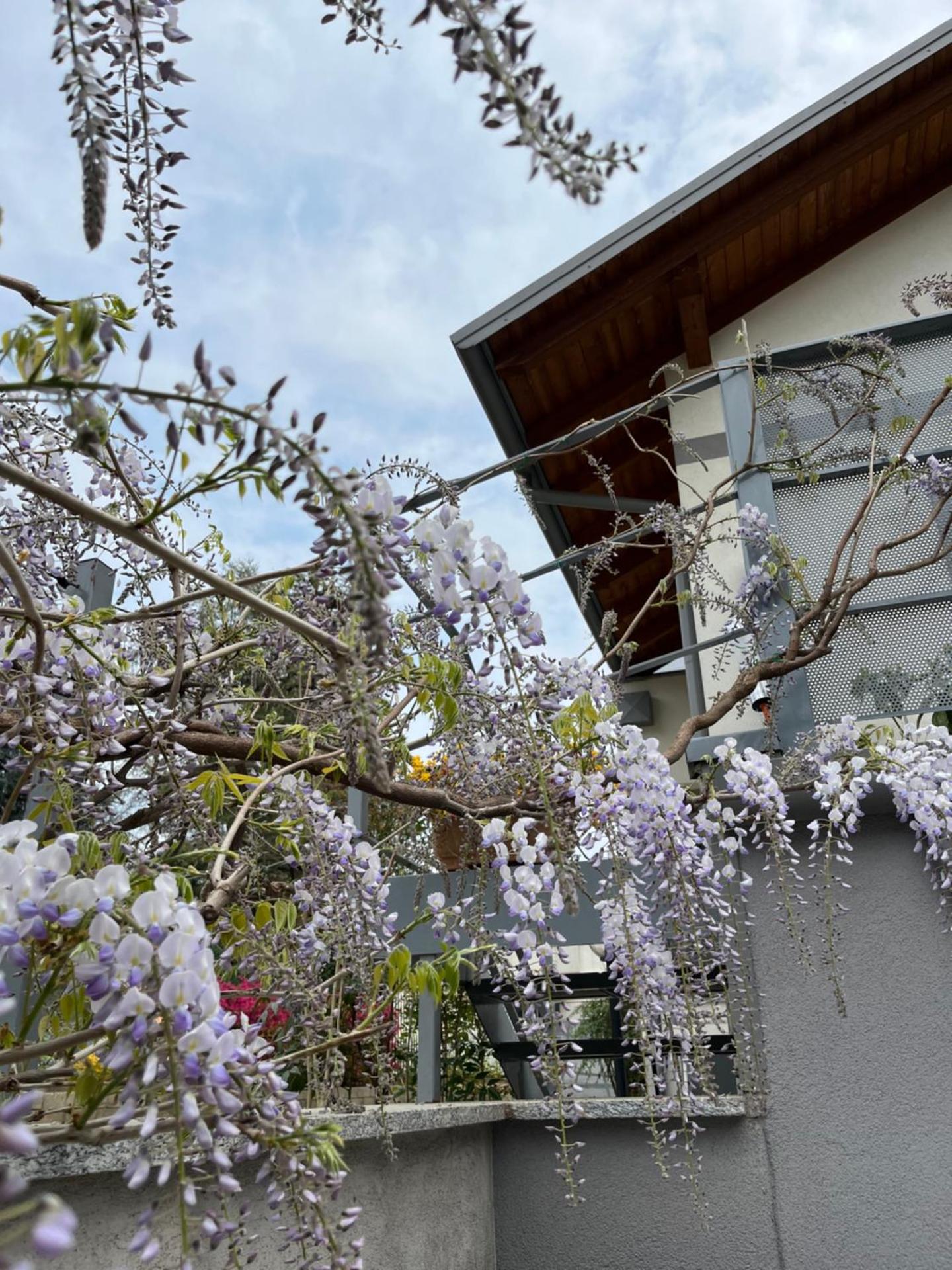 CasaNobile -Suite Il Melo