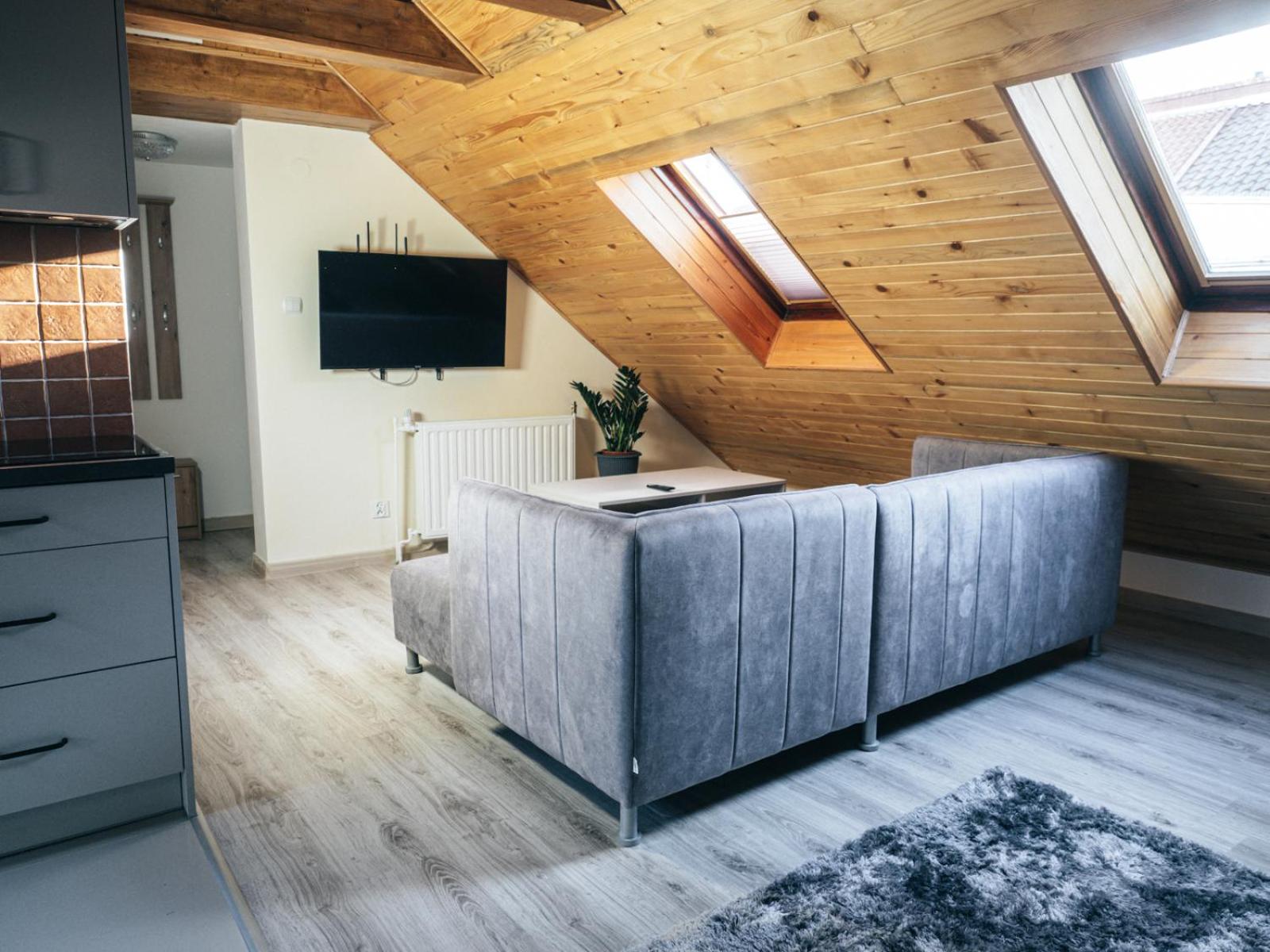 Communal lounge/ TV room