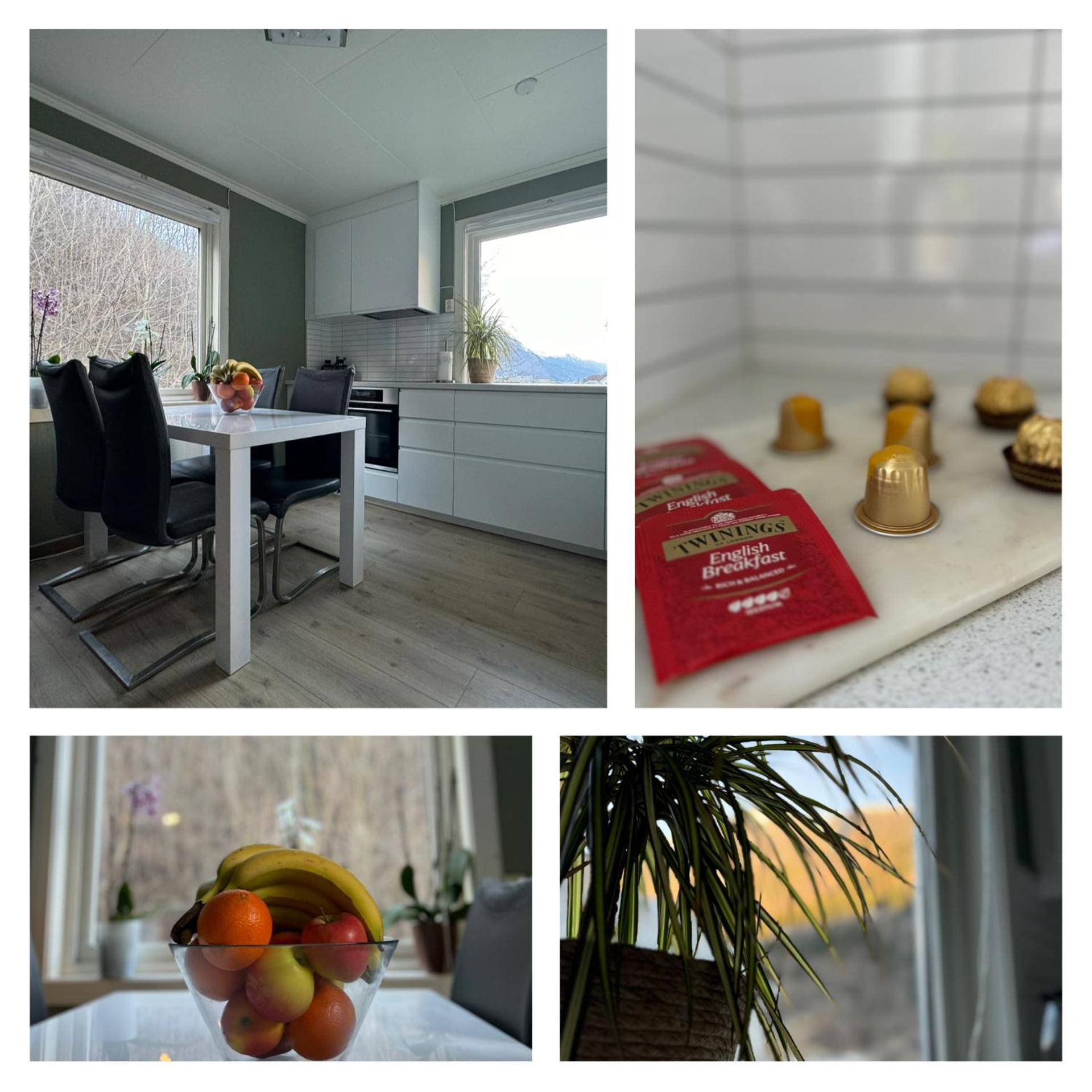 StarApartment Trolltunga 2 BR