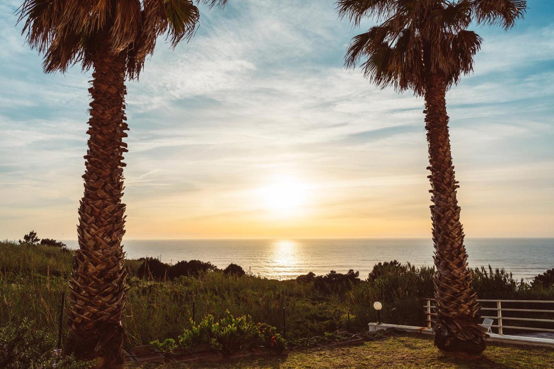 Nativo Big Wave Front Row - 1BR