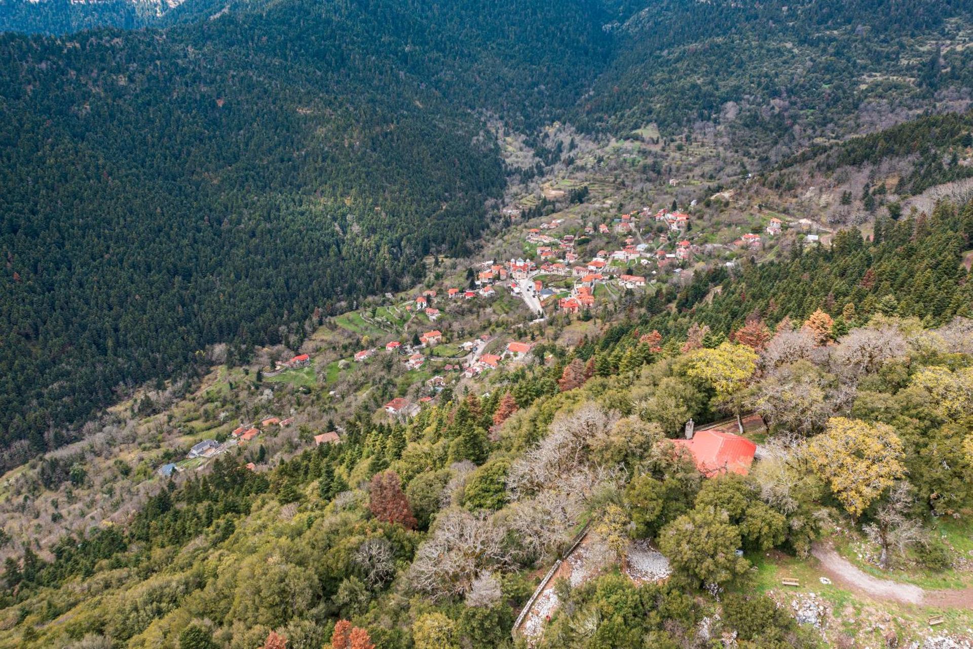 Guest House Amadryades