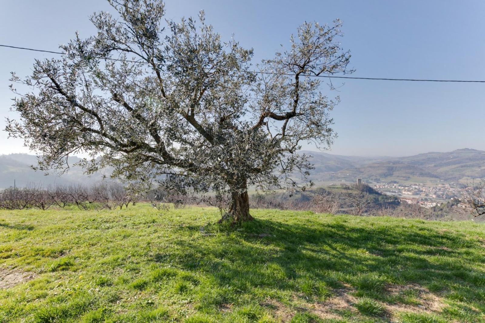 Agriturismo CA DECIO