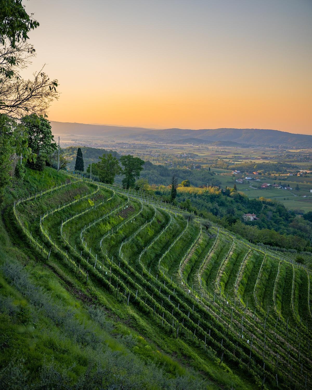 Centro Cormons - 3 Camere Letto & Balcone Privato