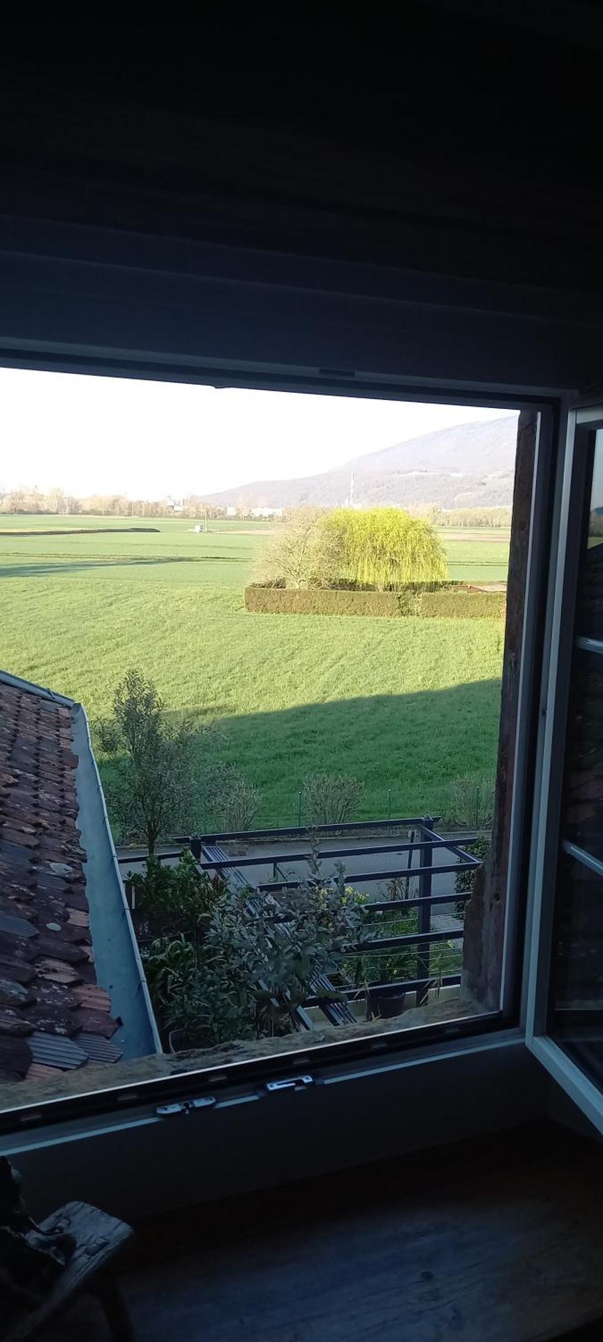 View (from property/room)