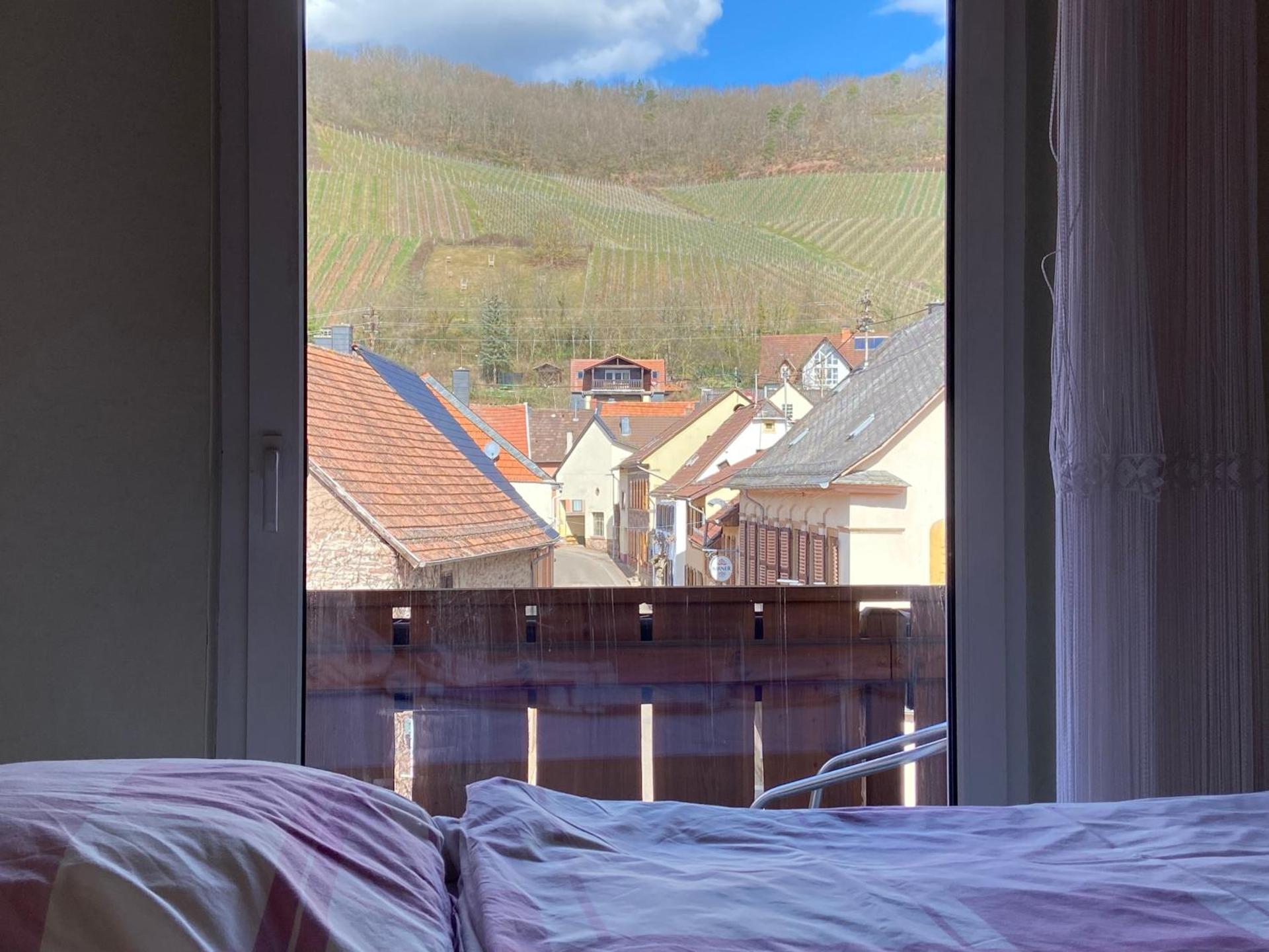 Ferienhaus im schönen Winzerdorf Kirschroth mit Sonnenterrasse und Wintergarten