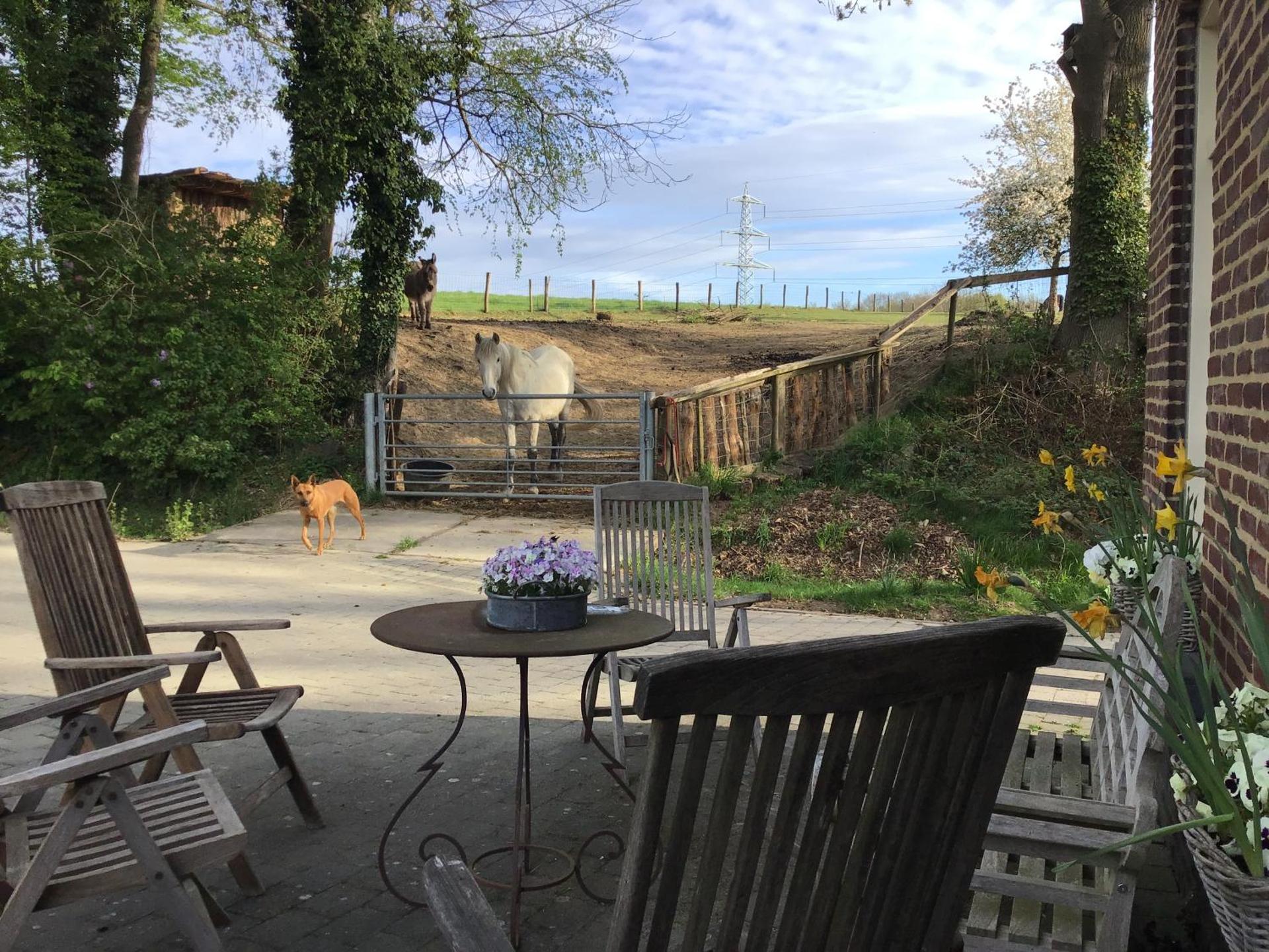 Countryhouse Zuid-Limburg