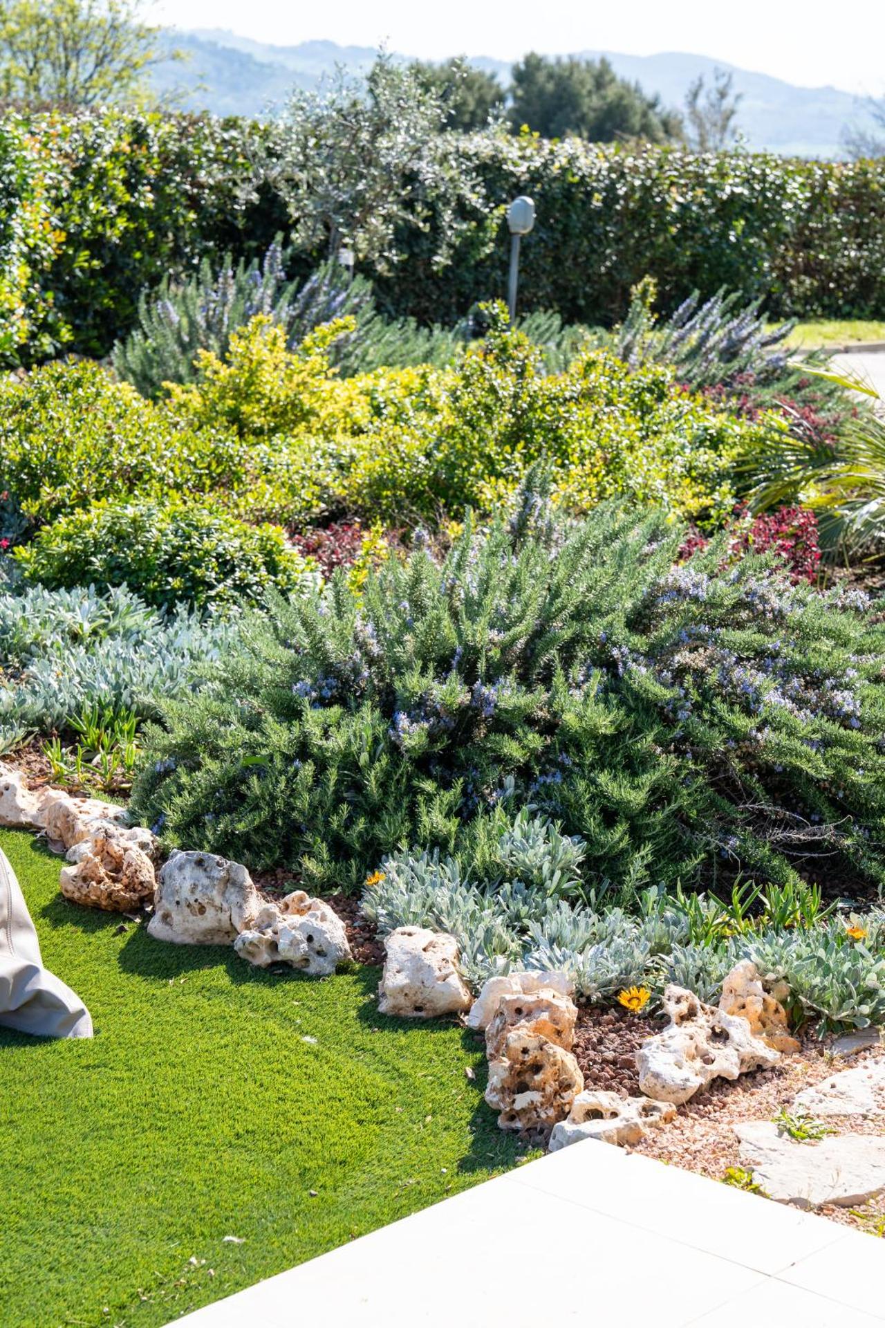 Tenuta dei Franceschi