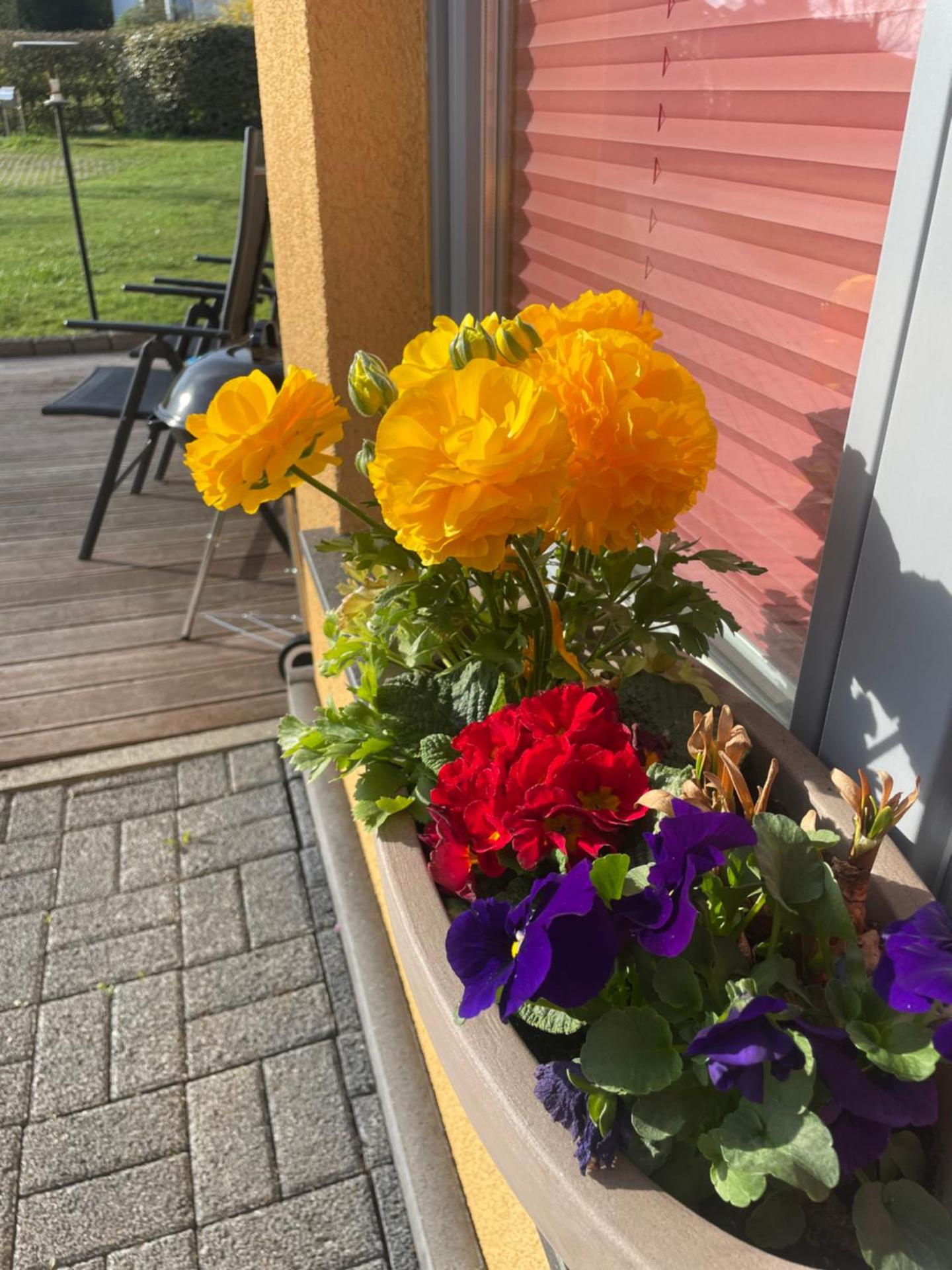 Wanderstube am Löns Felsen