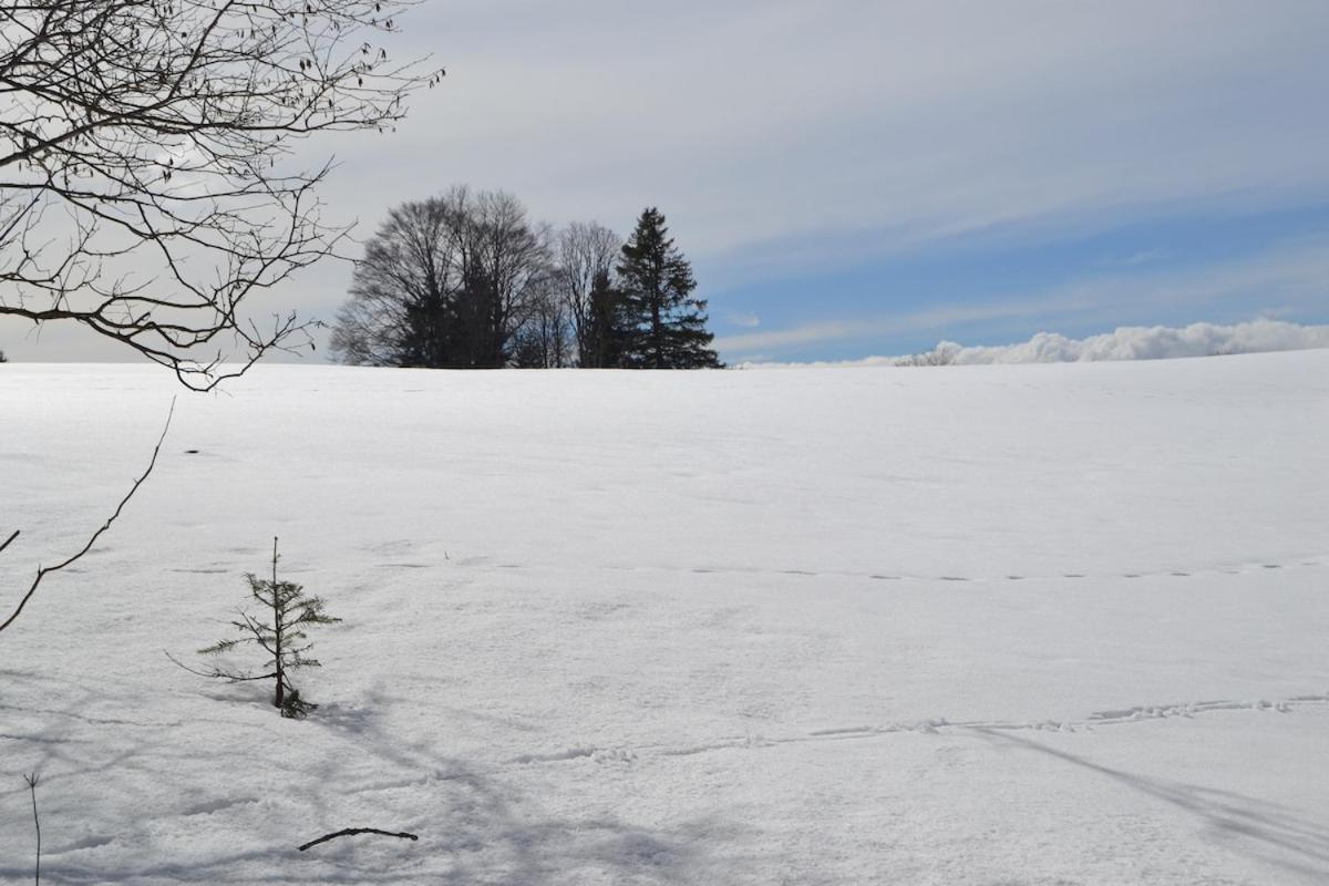 L'Evasion du Haut au milieu de la nature