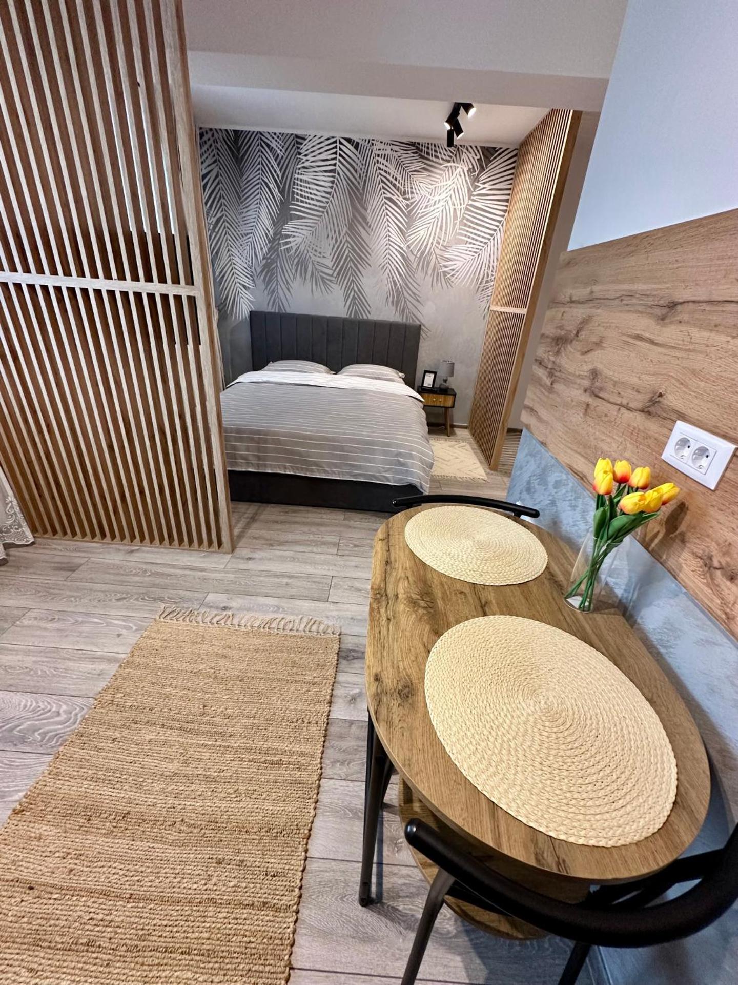 Sofia Residence Studio Cetate