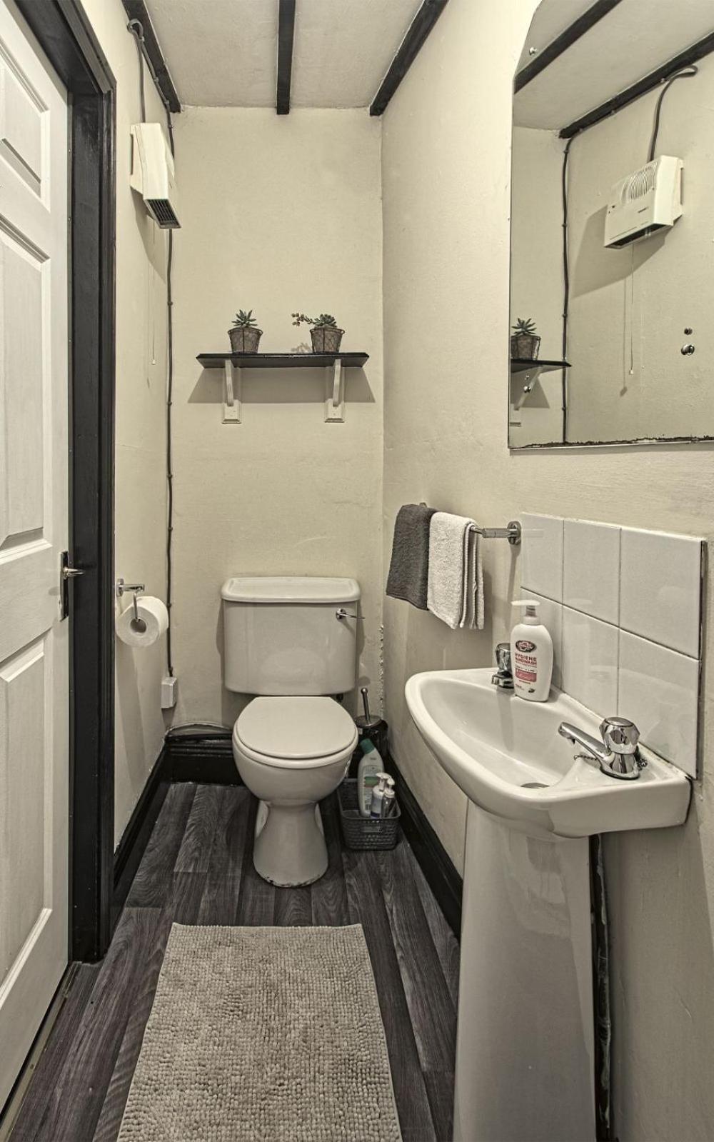 Peaceful tranquil Alpaca Farm